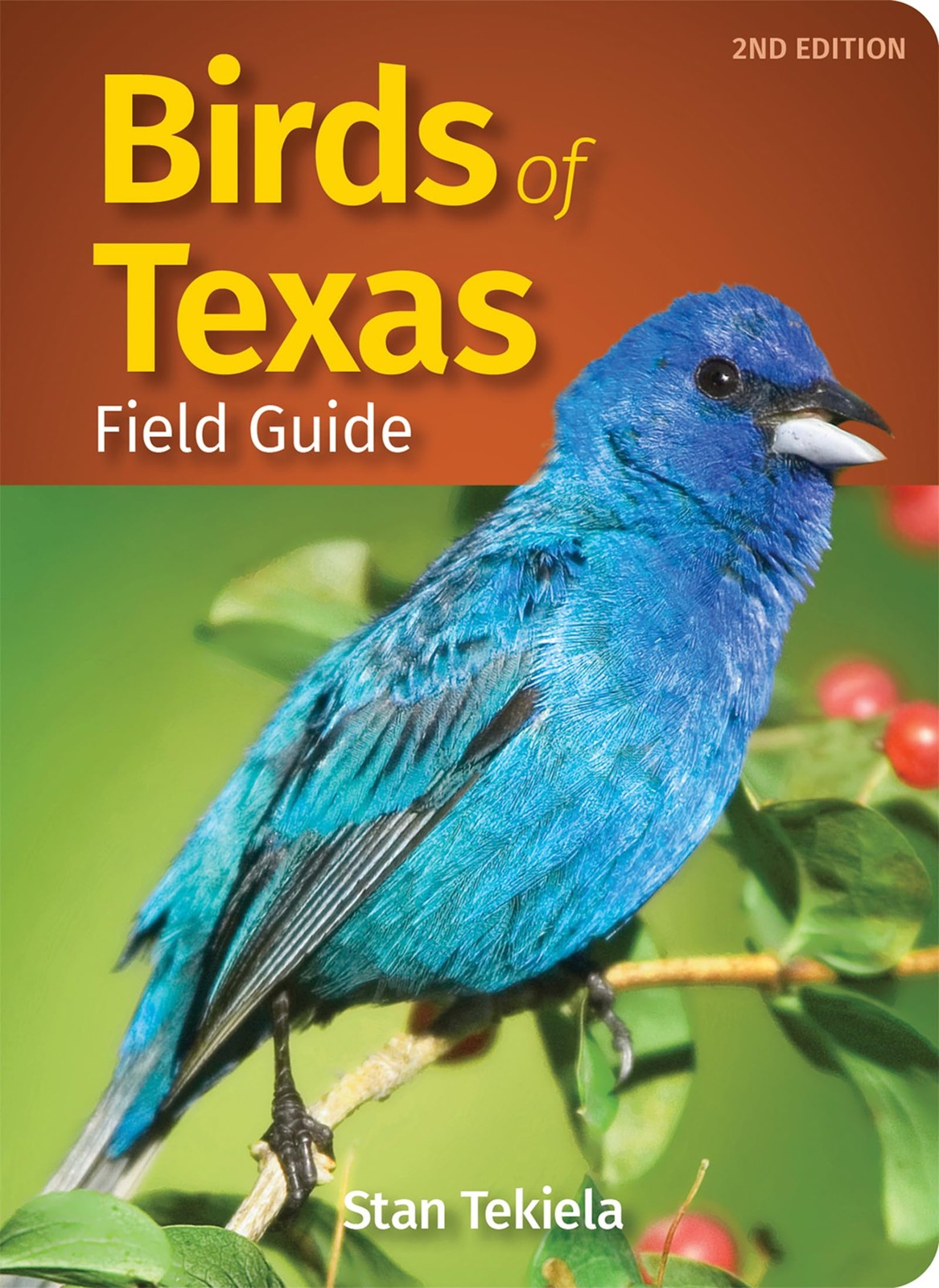 Birds of Texas Field Guide Bird Identification Guides