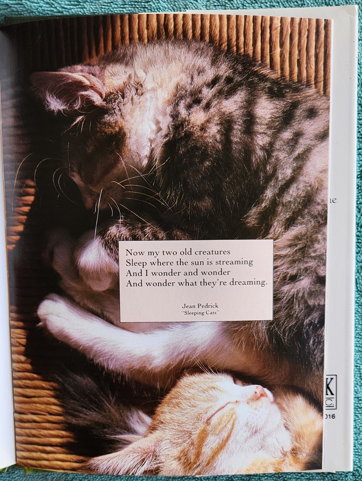 In Praise Of Cats 2007 Hardcover 28 Pages
