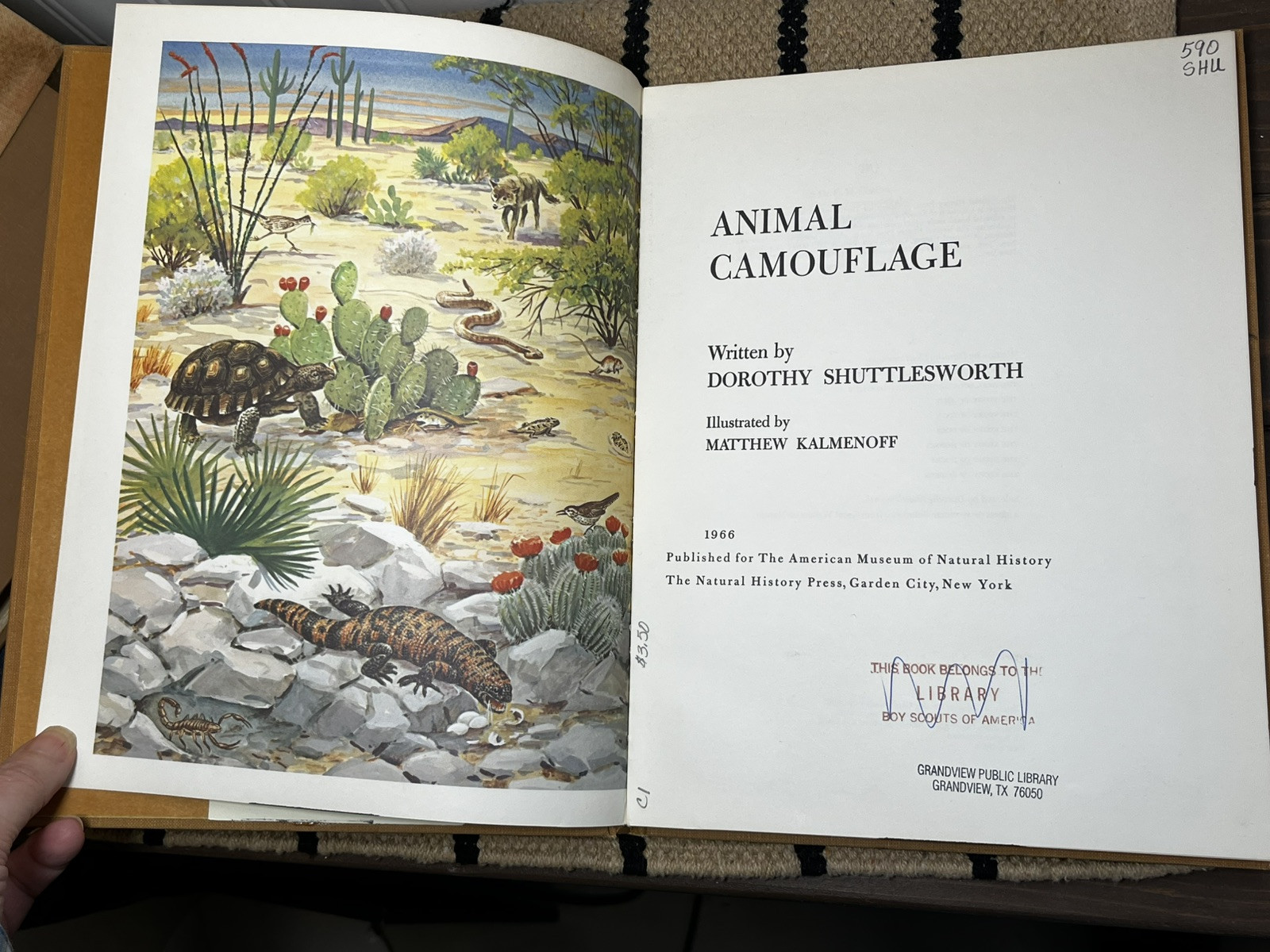 Animal Camouflage, Dorothy Shuttlesworth, illustrated by Matthew Kalmenoff HB XL