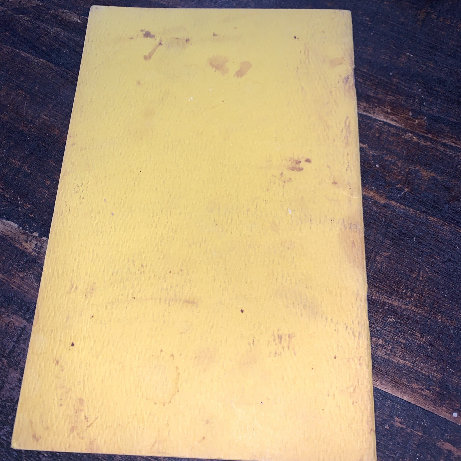 Vtg 1968 FONDUE Cook-In COOKBOOK Recipes PAPERBACK Pamphlet USA Potpourri PRESS