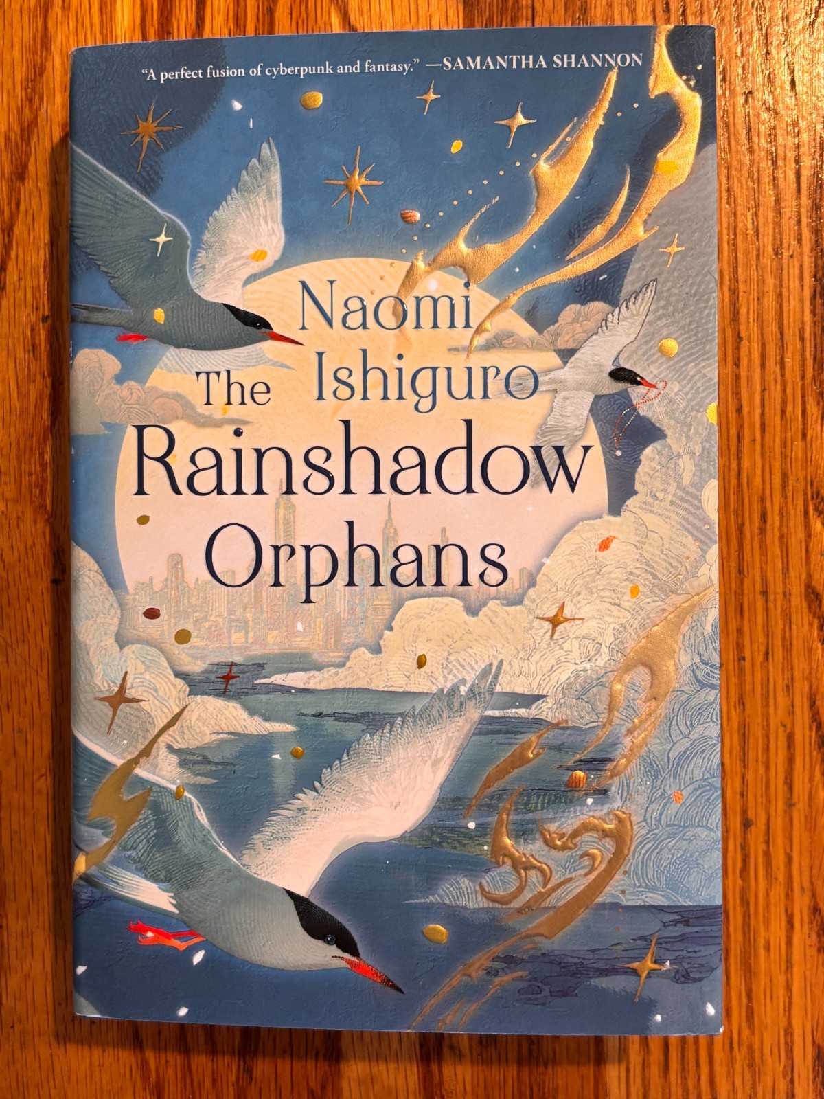 THE RAINSHADOW ORPHANS Naomi Ishiguro Deluxe First Edition hardcover
