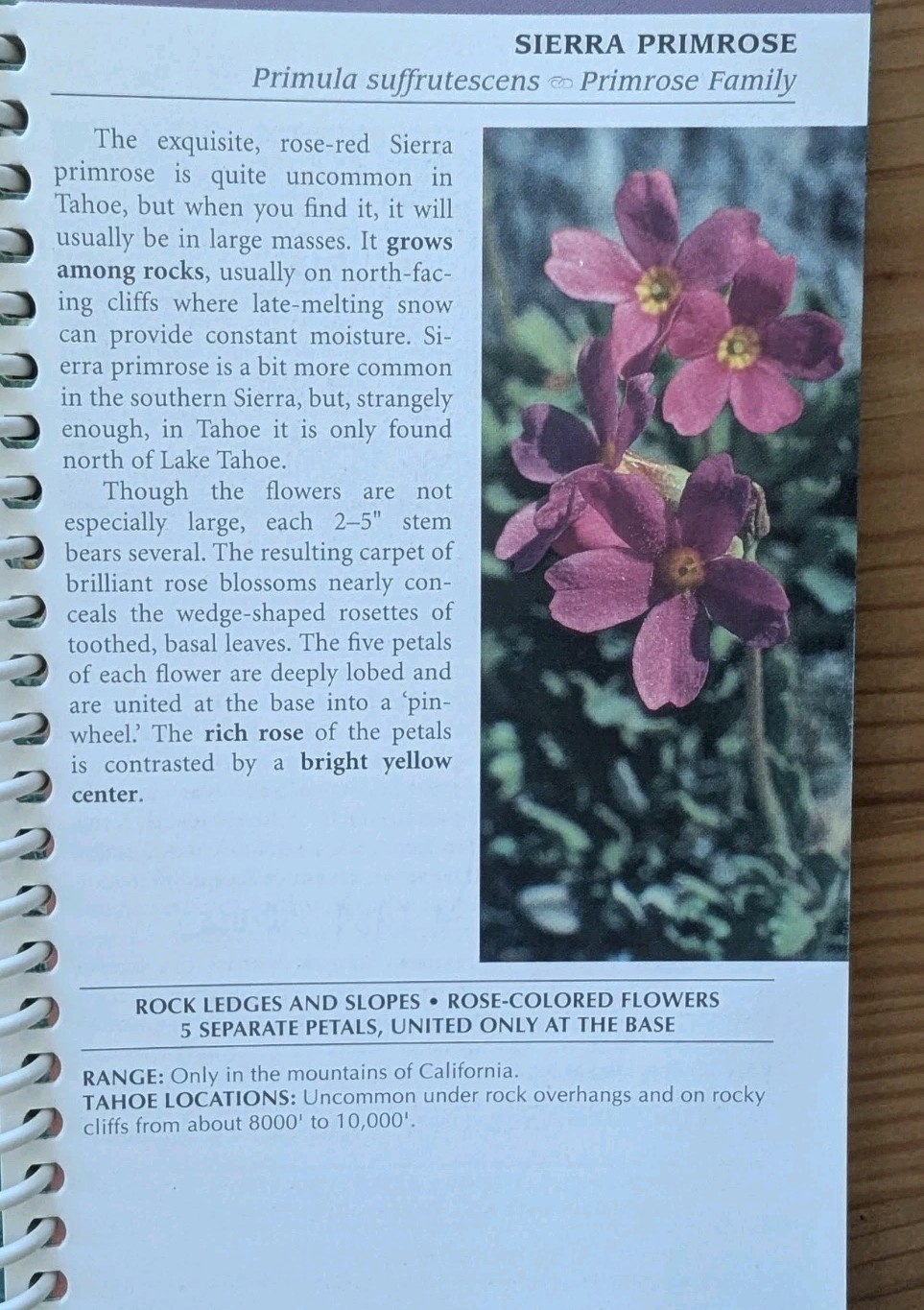 Wildflowers Of The Tahoe Sierra 140 Pages Spiral Binding 4″ x 6-1/4″