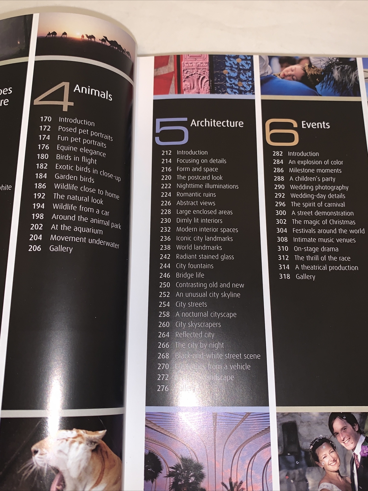 Photograph How To Absolutely Everything Tom Ang First Edition 2007 Hardcover