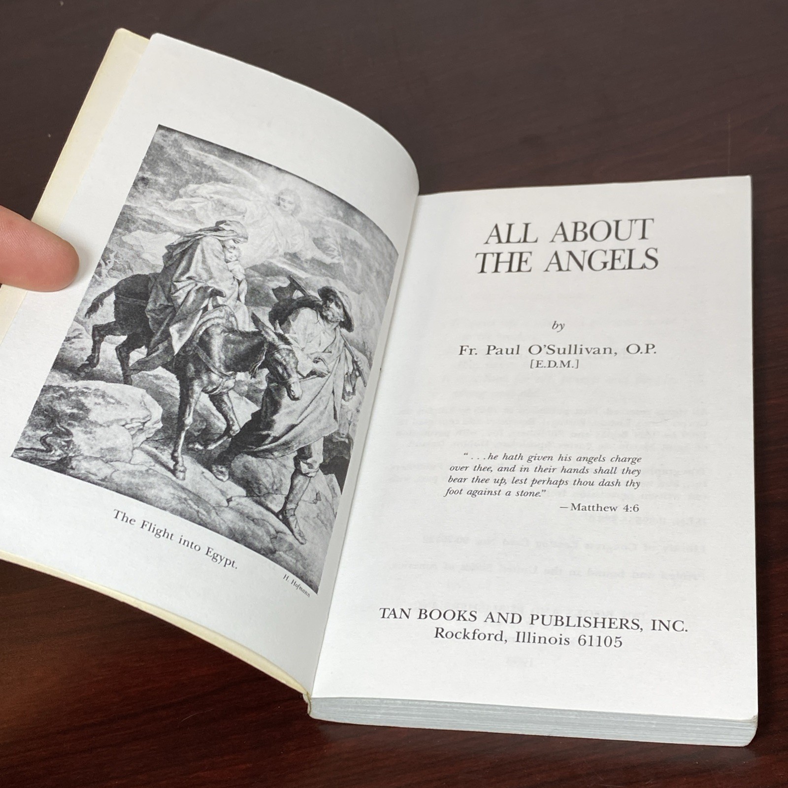 All about the Angels by Paul O’Sullivan (1991, Trade Paperback)