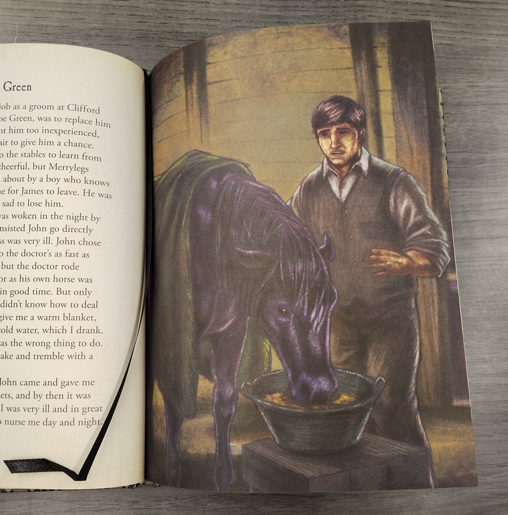Black Beauty by Anna Sewell (Hardcover)