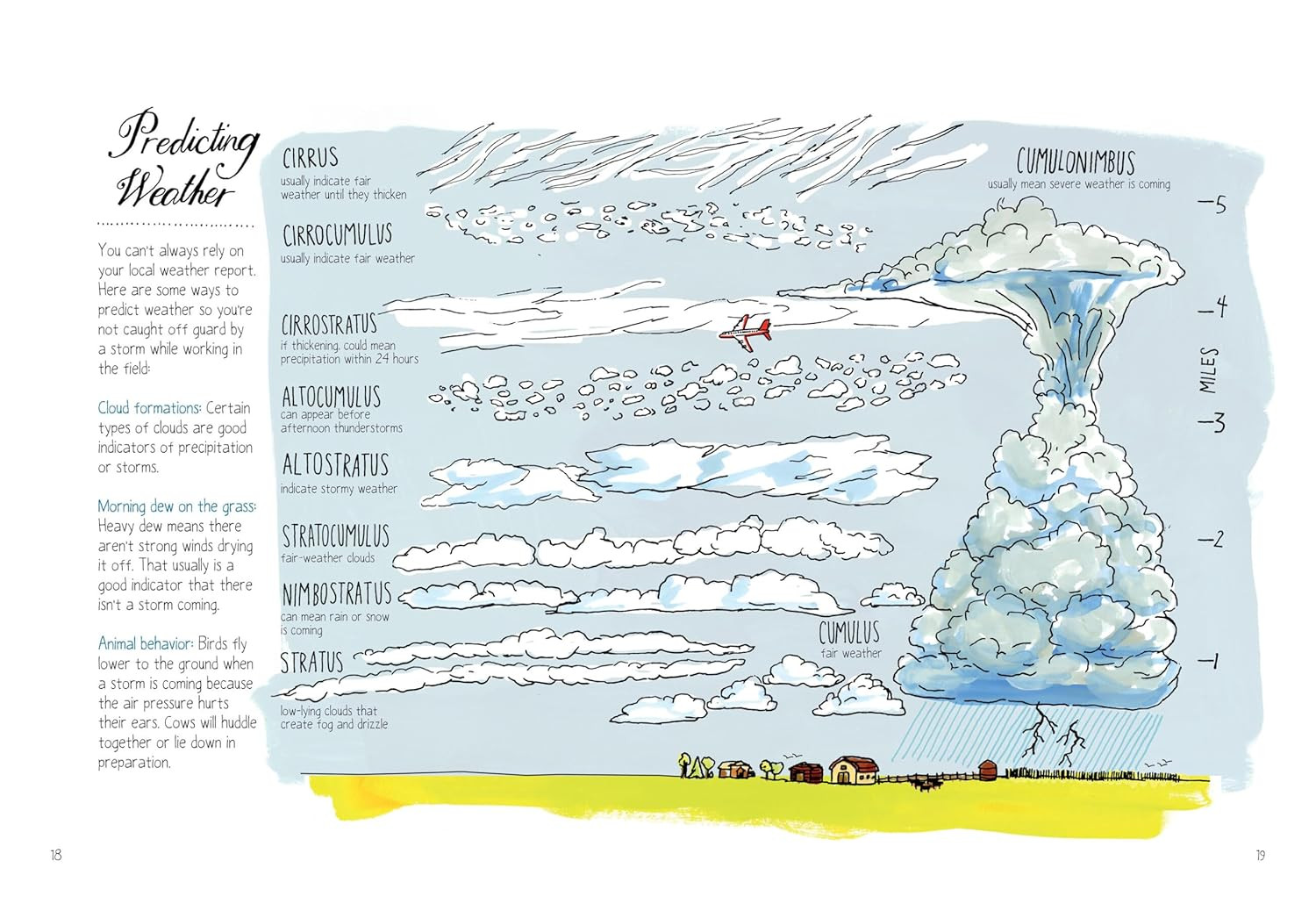 Farm Anatomy: the Curious Parts and Pieces of Country Life