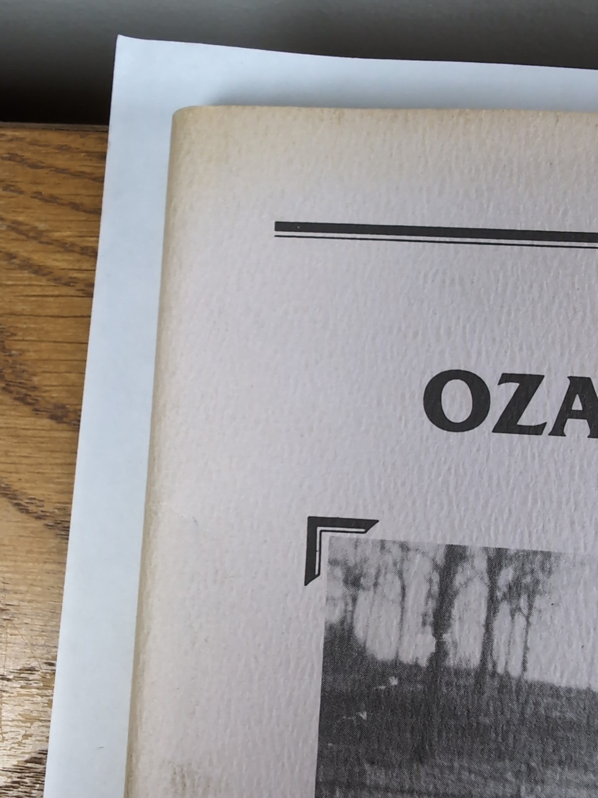 Ozark Diary By Minnie J. Sellens 1984, Privately Printed. Unique Book