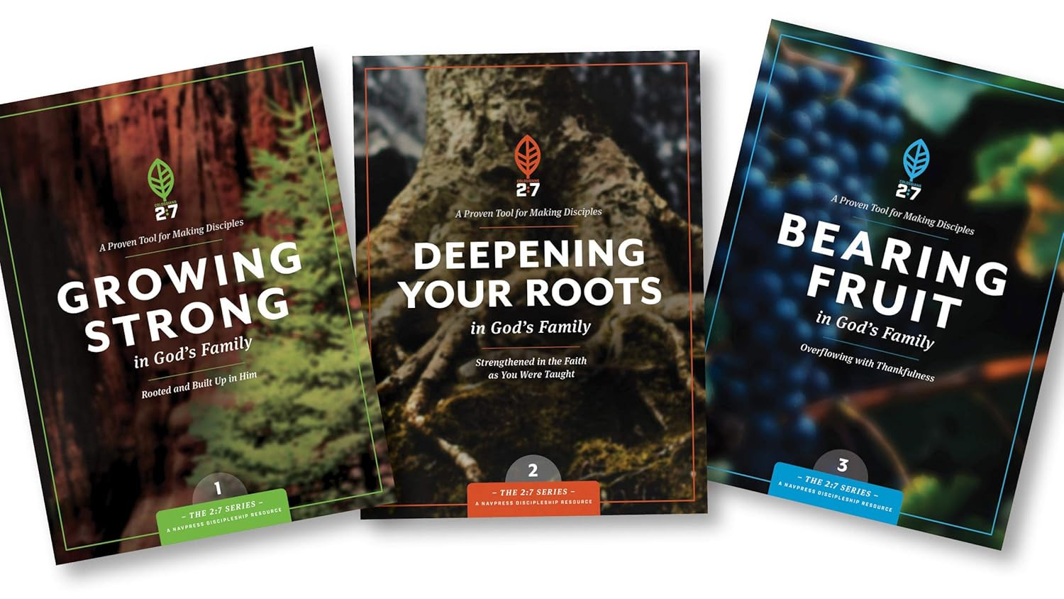Strengthen Your Faith: Rooted in God’s Family (The 2:7 Series)