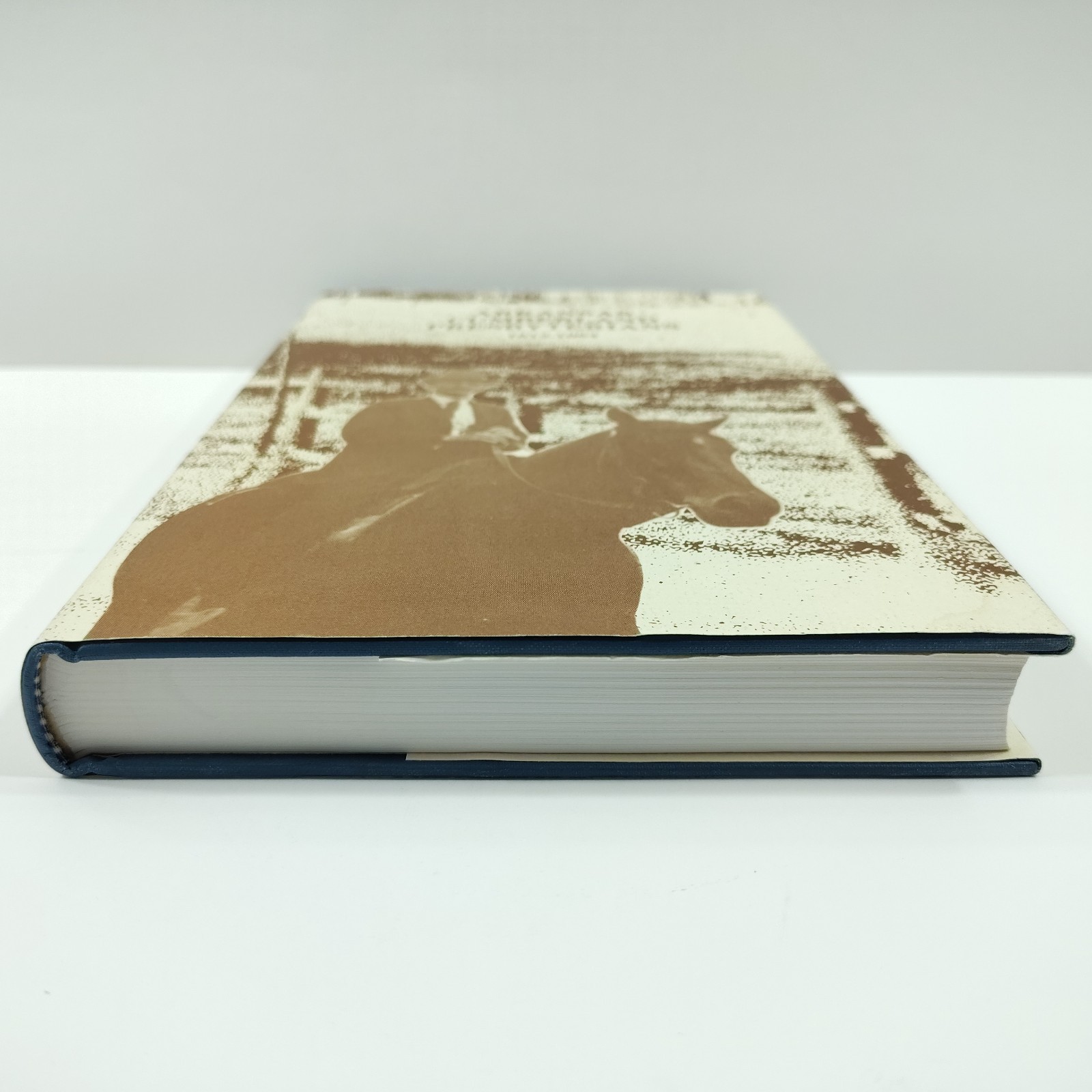 Arkansas Cumberland Presbyterians 1812-1984 [Very Good+, HC] Thomas H. Campbell