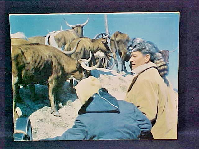 Candid Cowboys by Neil Summers 1989 PB 178 Pages 209 Photos of Movie Stars