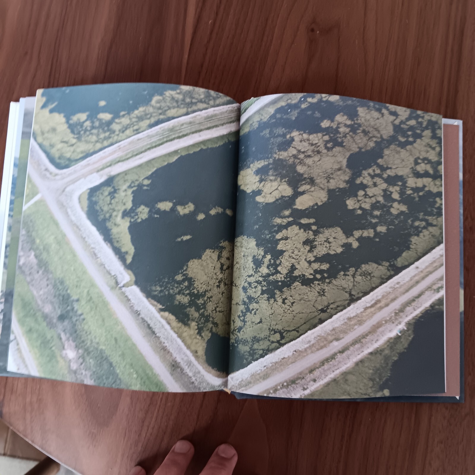 UNDERSTANDING THE SKY DAVE EGGERS HD (SIGNED BOOK) FREE Shipping