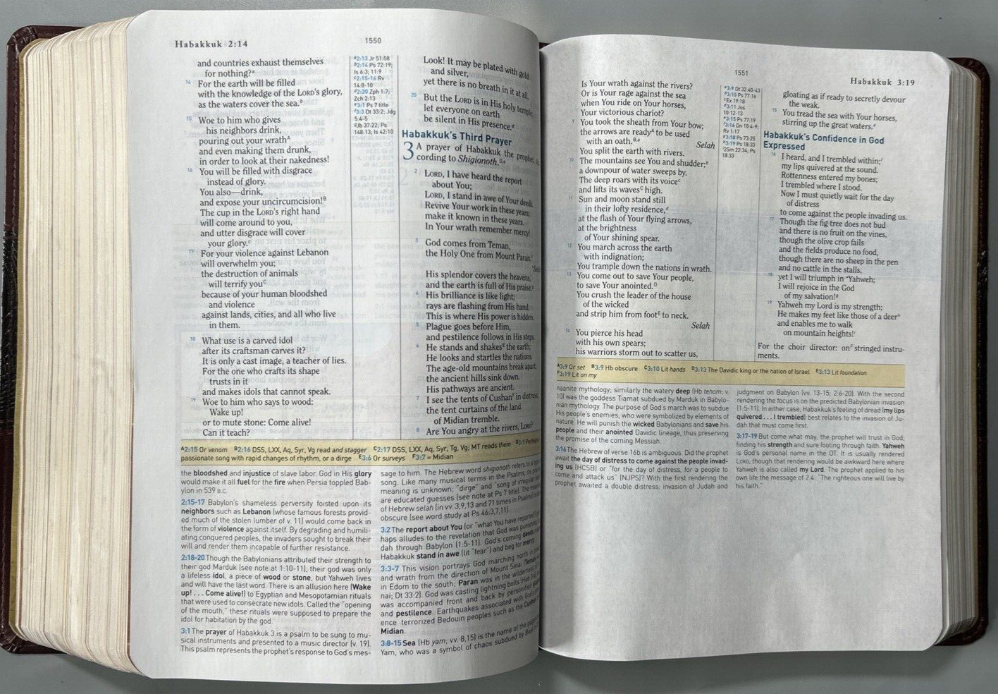 HCSB Study Bible Mahogany Duotone Simulated Leather Clean Text G+ USA Print
