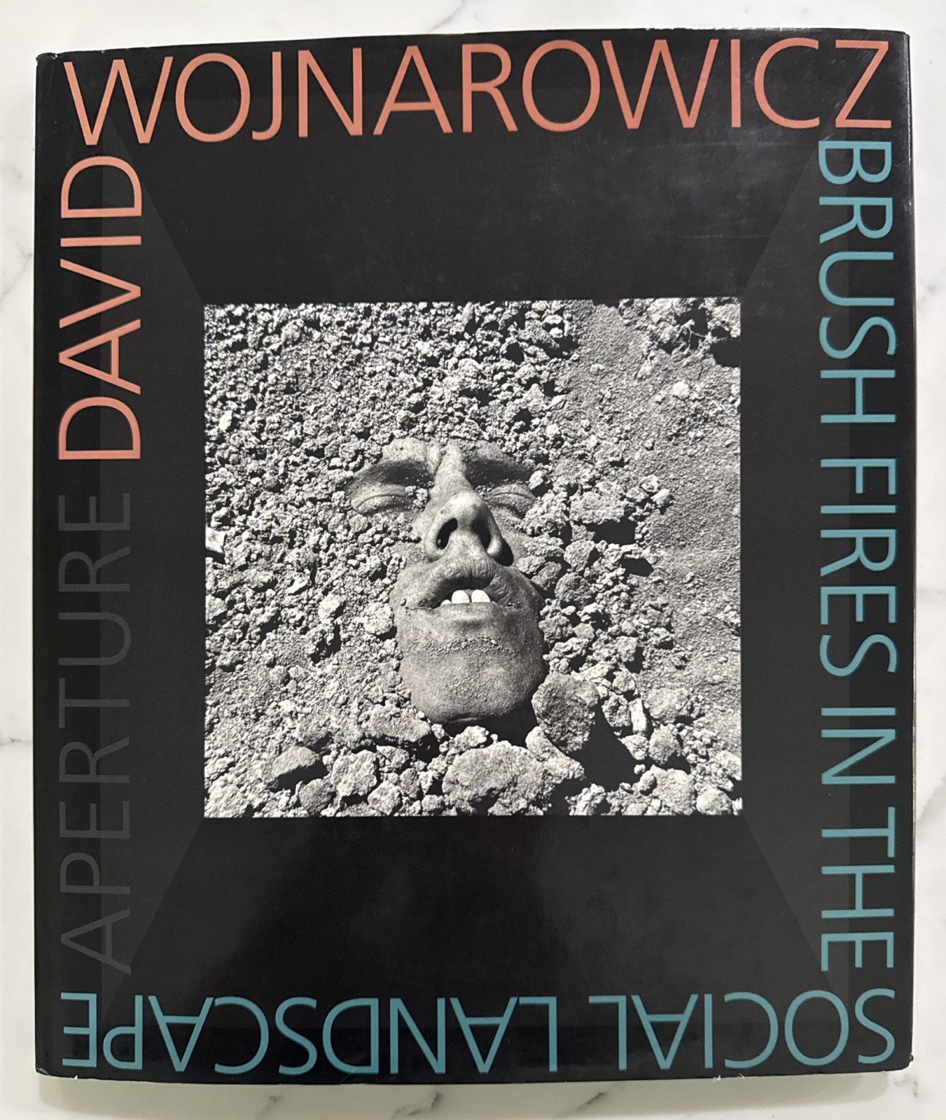 David Wojnarowicz : Brushfires in the Social Landscape (Hardcover, 1st/1st 2002)
