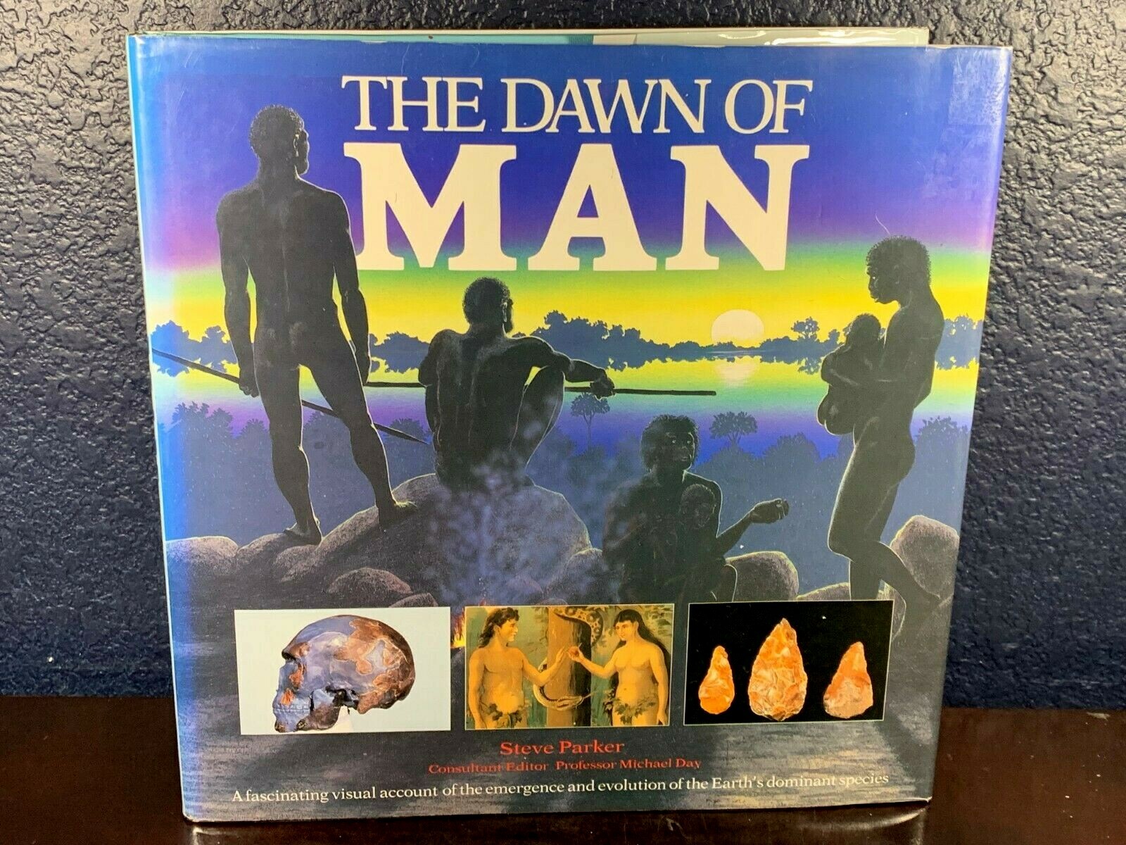 Steve Parker THE DAWN OF MAN Hardcover First Edition 1992 HC Book Evolution 1st/
