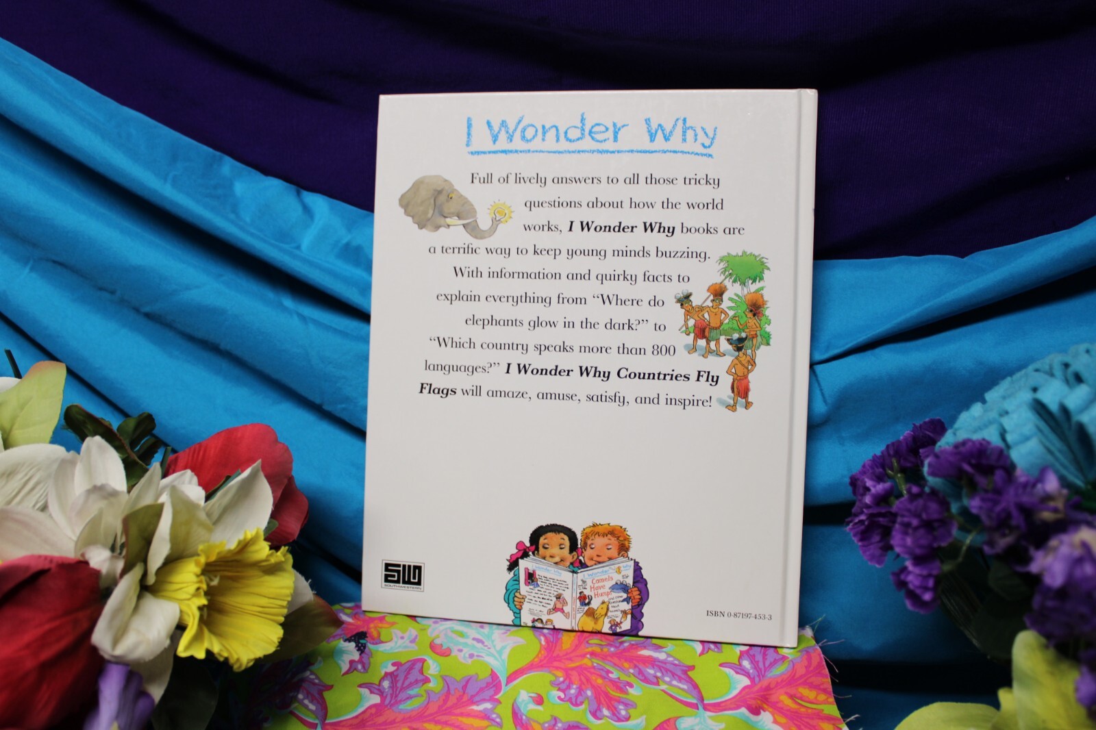 Roaring Brook Press I Wonder Why Questions Children’s – Countries Fly Flags Book