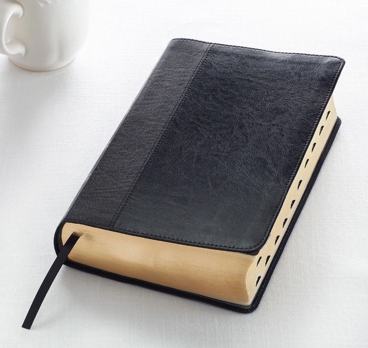 KJV HOLY BIBLE King James Version Black GIANT Print Thumb Index Edition NEW