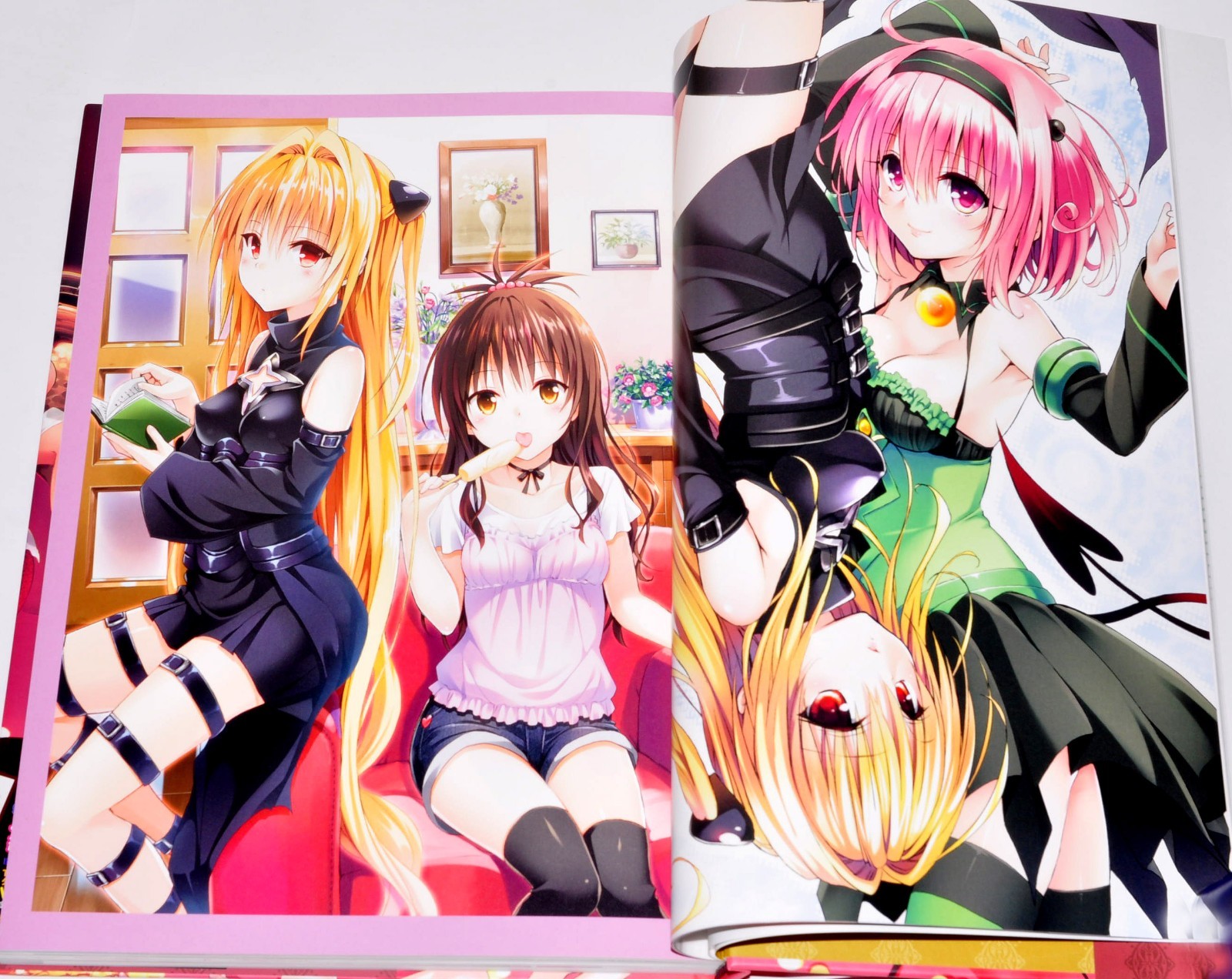 To Love-Ru Darkness Harem Gold Art Book Illustrations + Case 10th anniversary JP