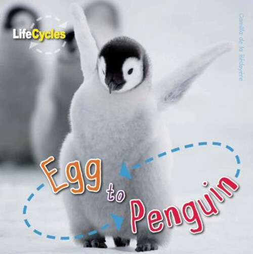 Egg to Penguin Library Binding Camilla de la Bedoyere