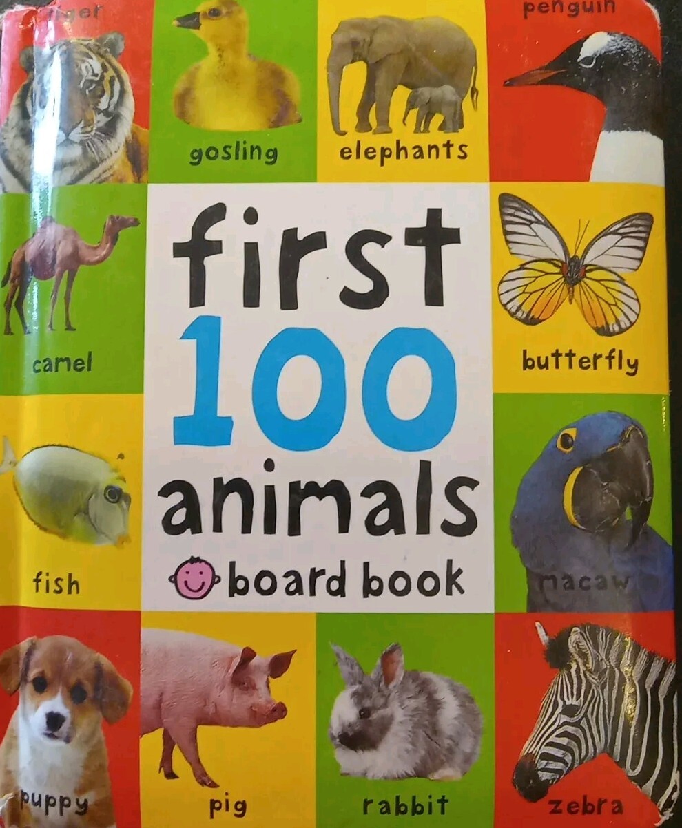 First 100 Animals Board book Pre-owned Inside Spine Damage