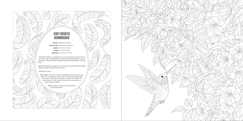 Animals: A Smithsonian Coloring Book Box Set, Smithsonian Institution, Excellent