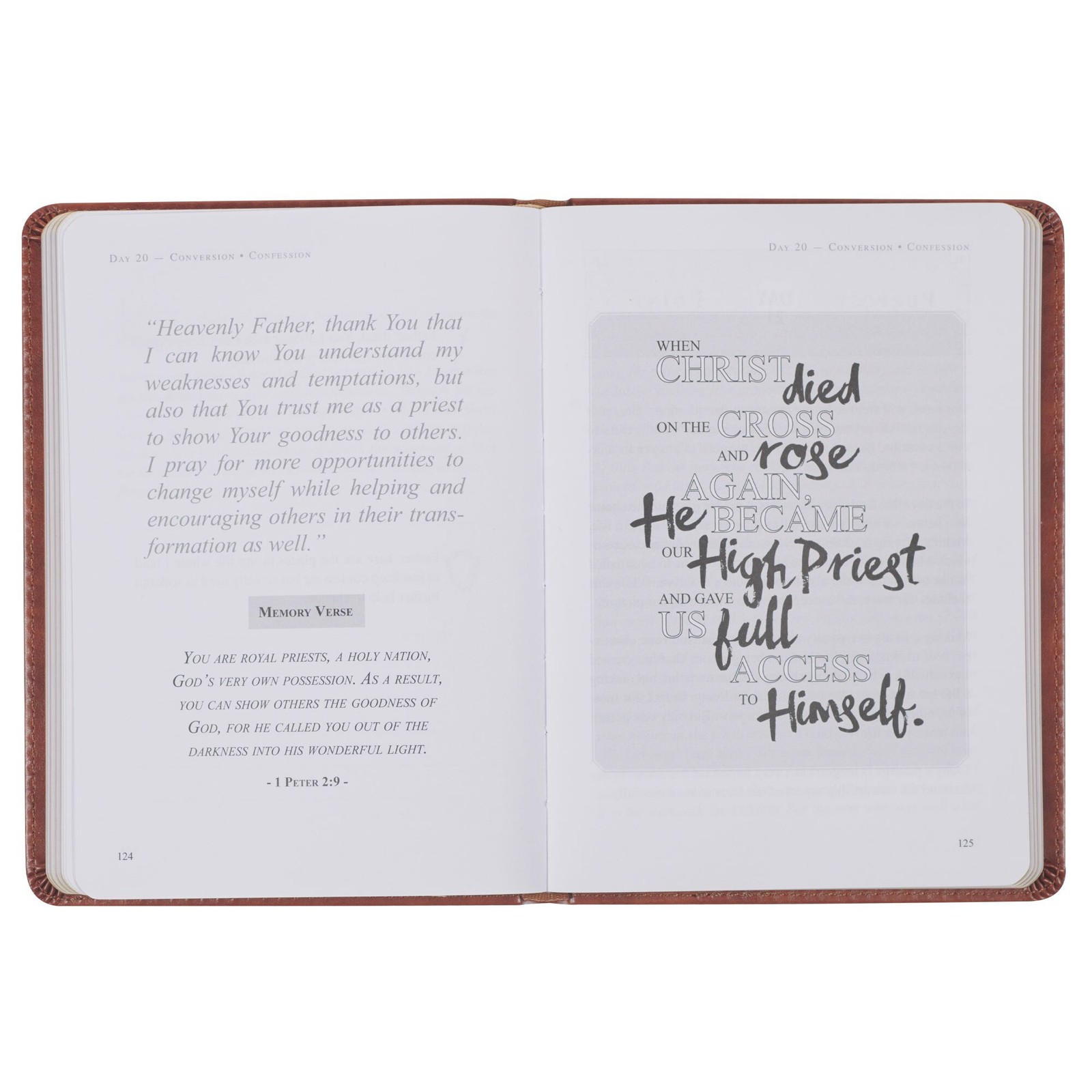 The Sword and Shield A 40 Day Devotional for Men, Vegan Leather
