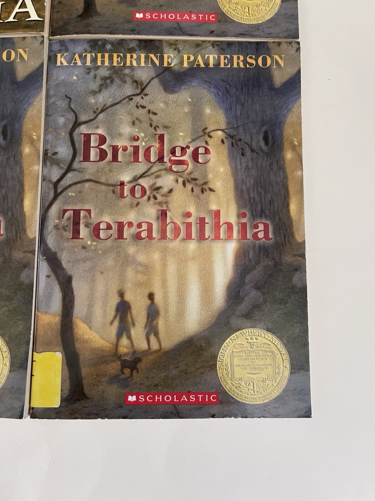 Bridge to Terabithia Lot of 4 Books For Guided Reading paperback Free Shipping