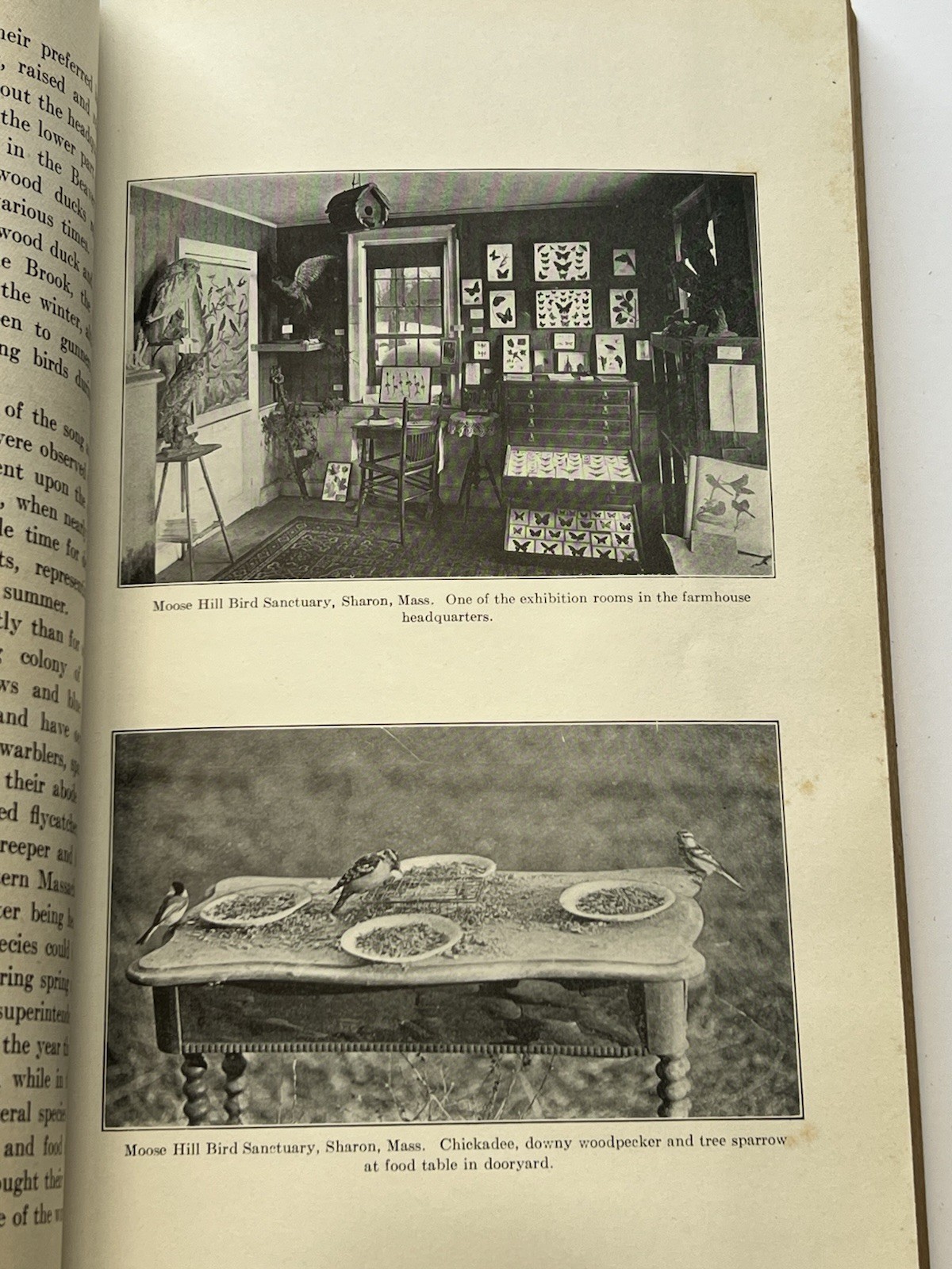 1921 Annual Report of the Division Of Fisheries And Game Boston, MA SC Book 526