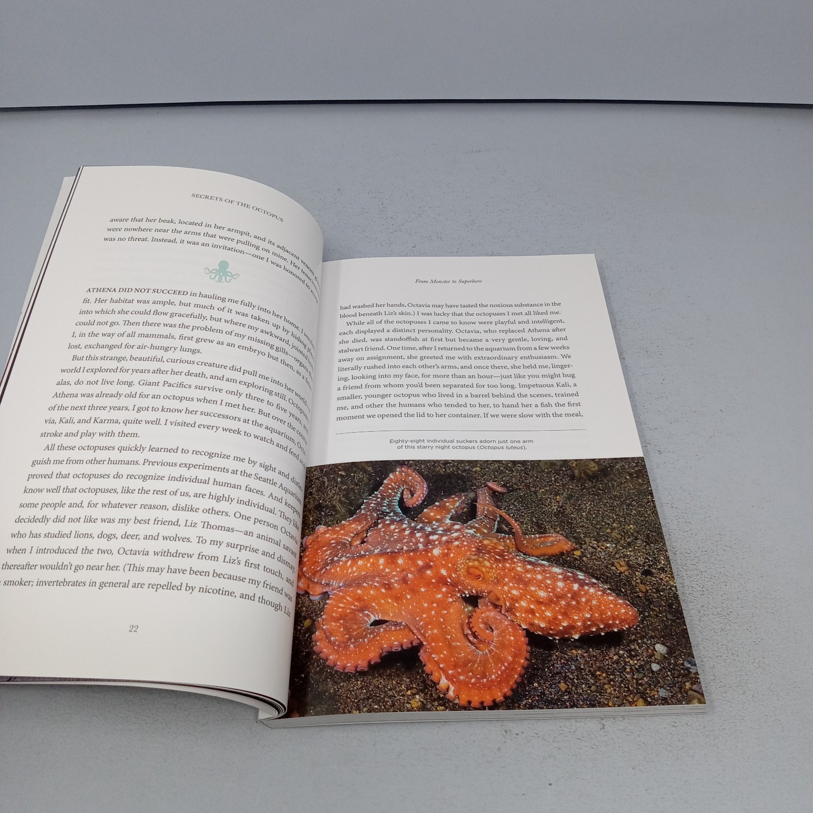 Secrets of the Octopus: 2024 National Geographic Paperback by Sy Montgomery