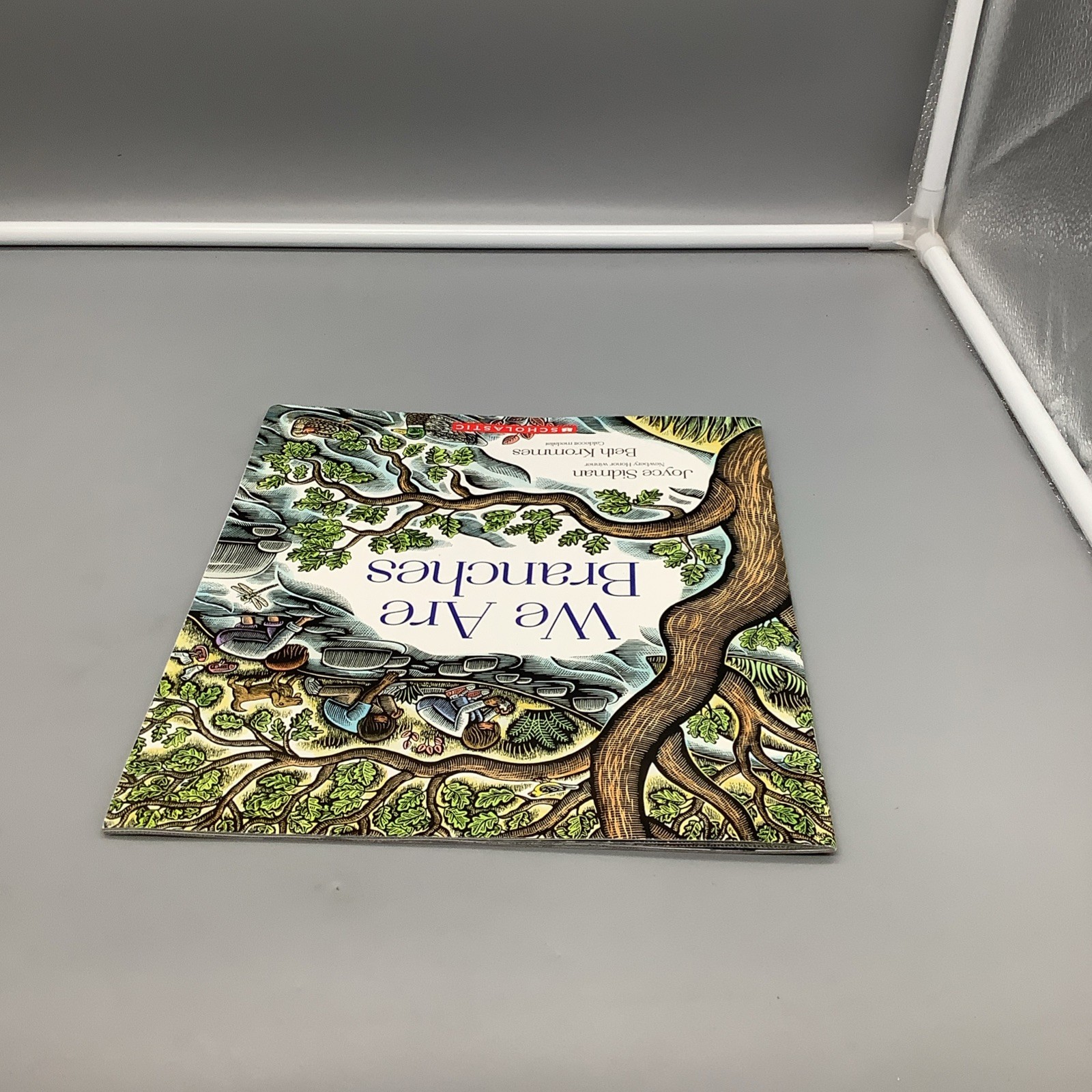 We Are Branches – By: Joyce Sidman & Beth Krommes (Paperback) Like NEW Condition