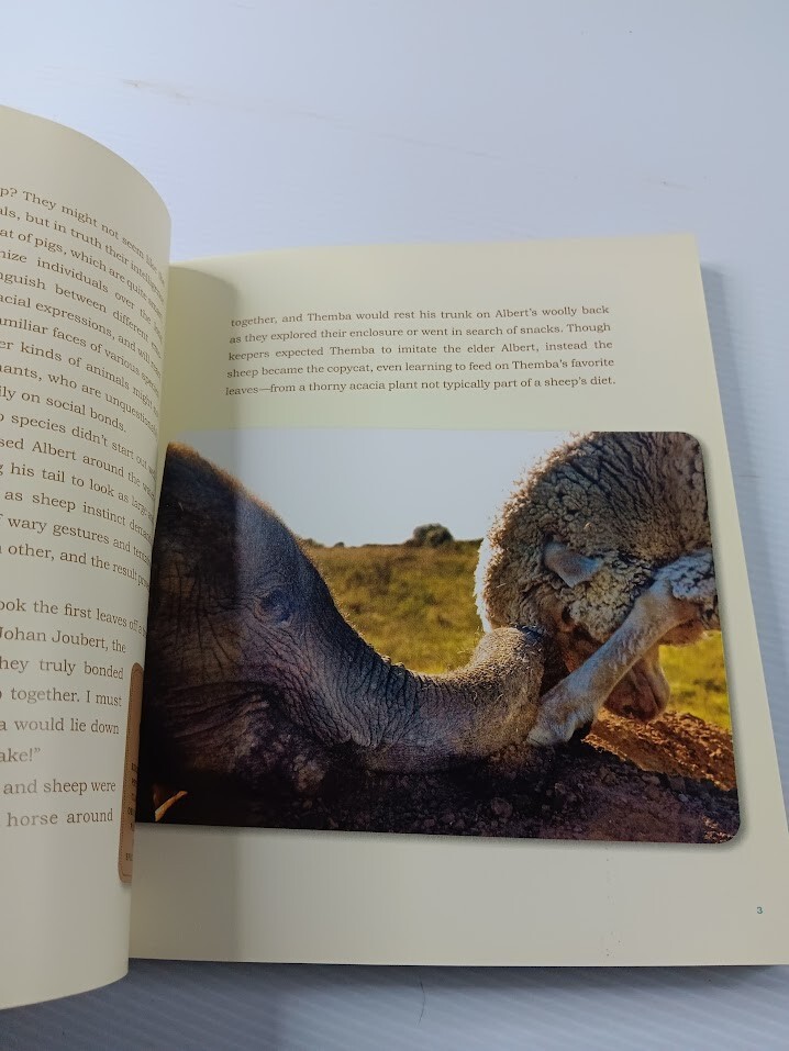 Unlikely Friendships 47 Stories from the Animal Kingdom Jennifer S Holland