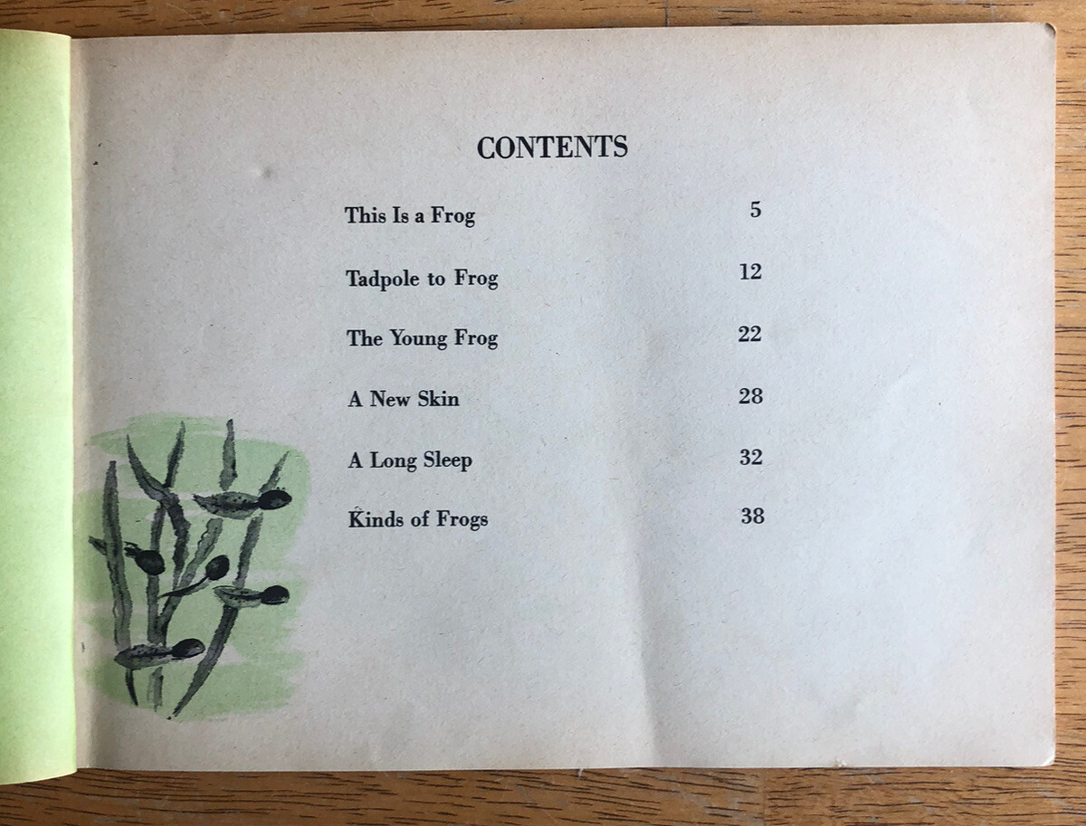 Vintage 1963 What is a Frog? by Gene Darby, Scholastic First Printing Paperback