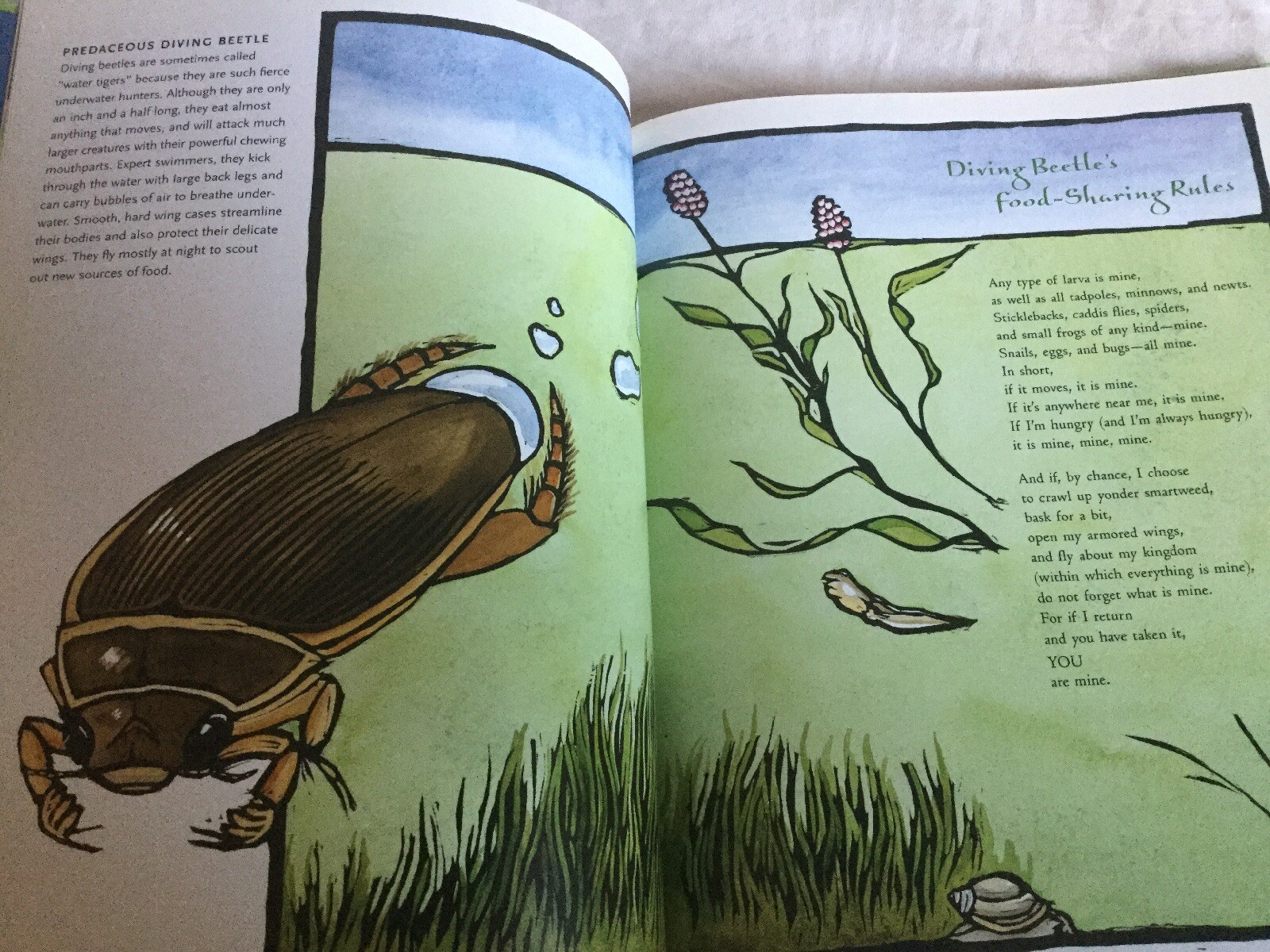 Song of the Water Boatman and Other Pond Poems by Joyce Sidman (2005 Hardcover)