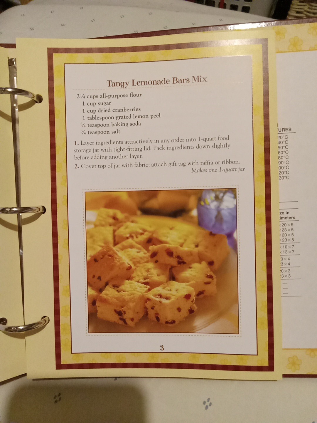 Gifts From A Jar “Cookies, Brownies & Bars” Complete With Raffi & Fabric Book