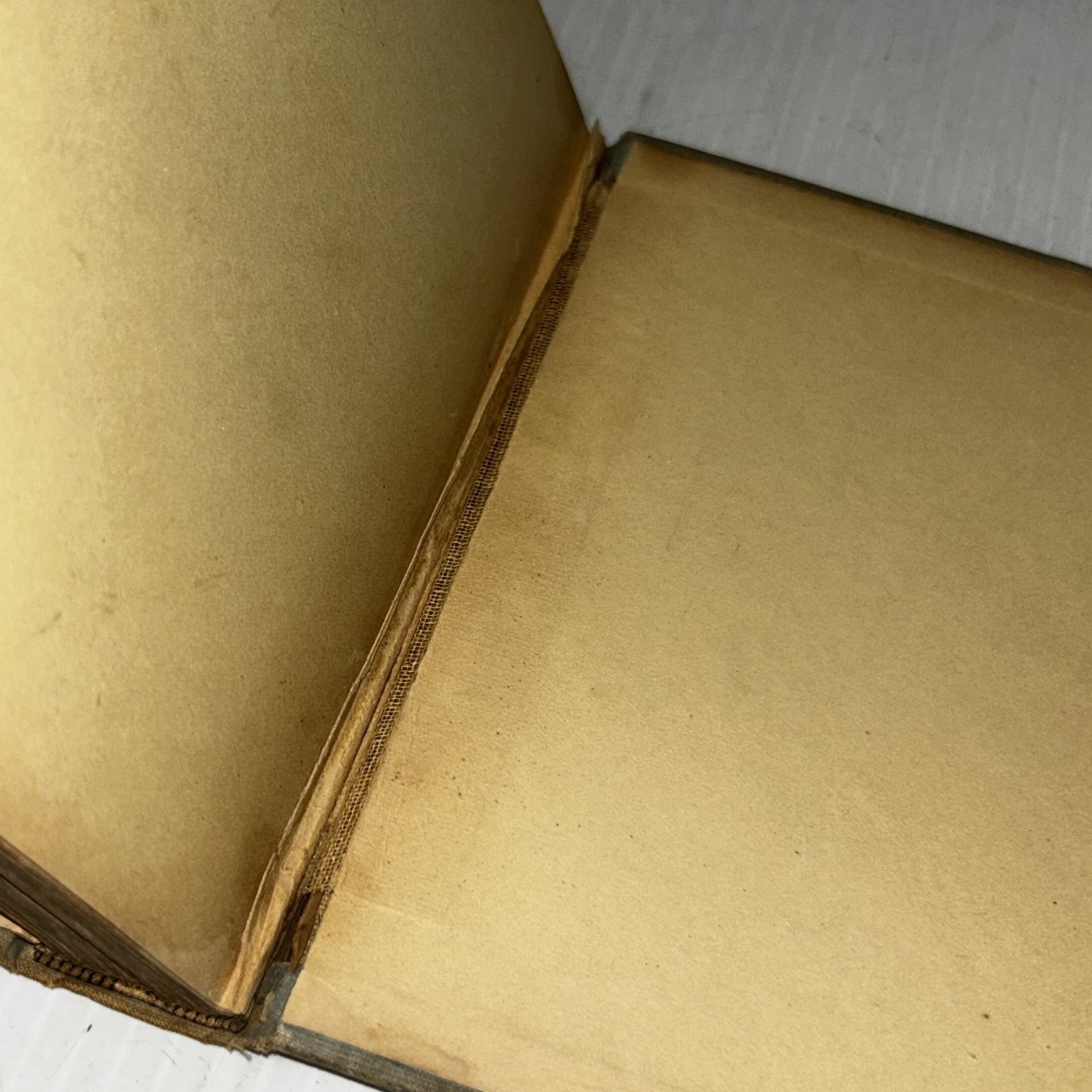 Queer Janet Grace Le Baron 1897 Illustrated Children’s Juvenile Lee & Shepard