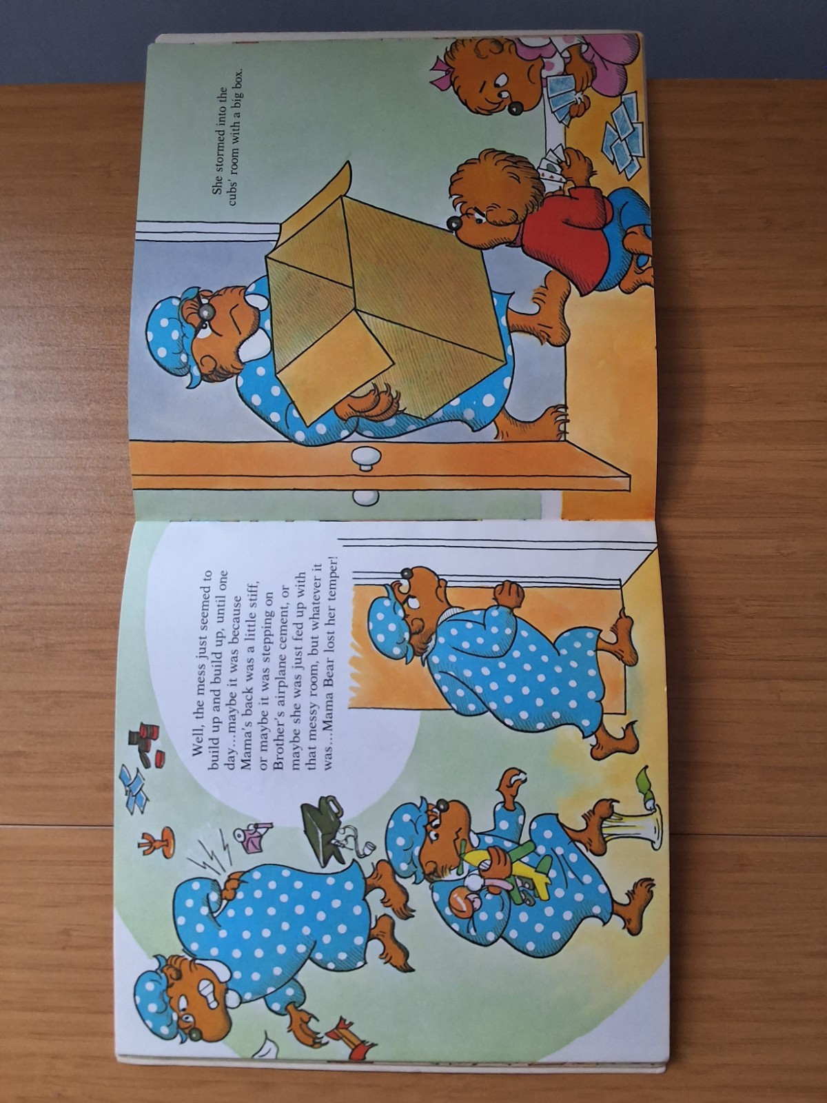 Vintage Variety Set Of Bernstein Bears Books. Lot Of 5