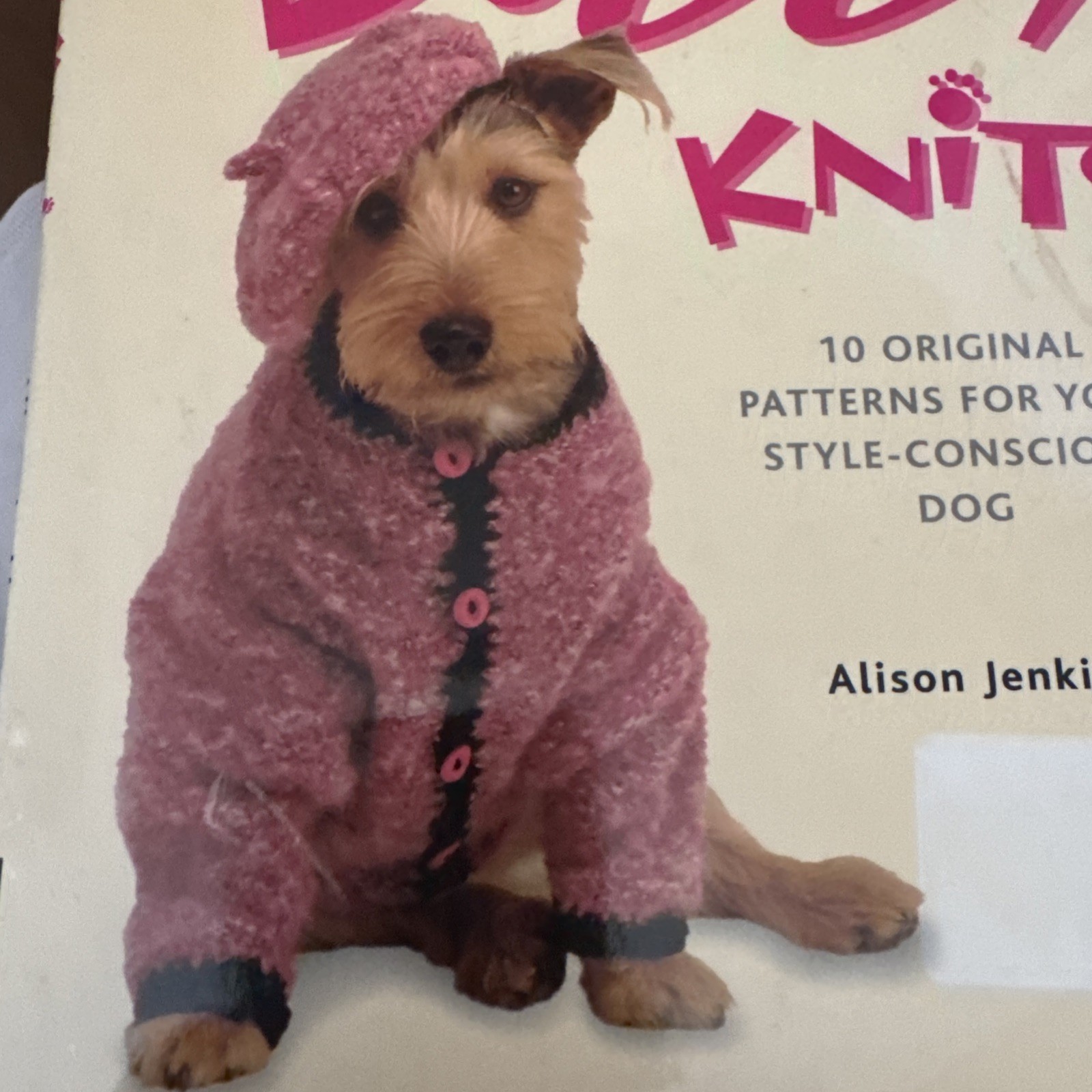Wacky Doggy Knits (10 Original Patterns For Your…Dog) by Alison Jenkins