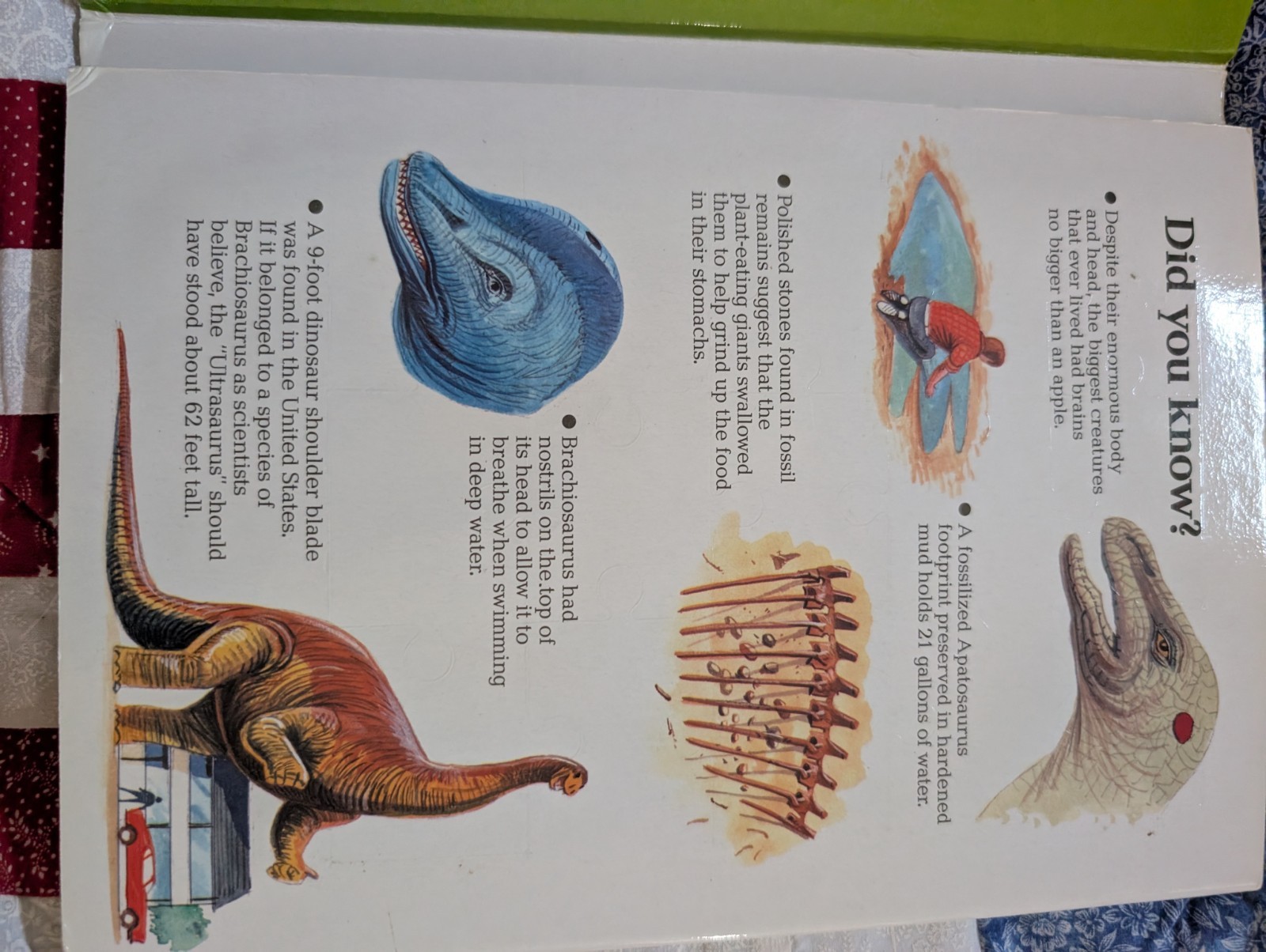 Vintage 1988 Dinosaur Giants among Giants Jigsaw Picture Puzzle Book