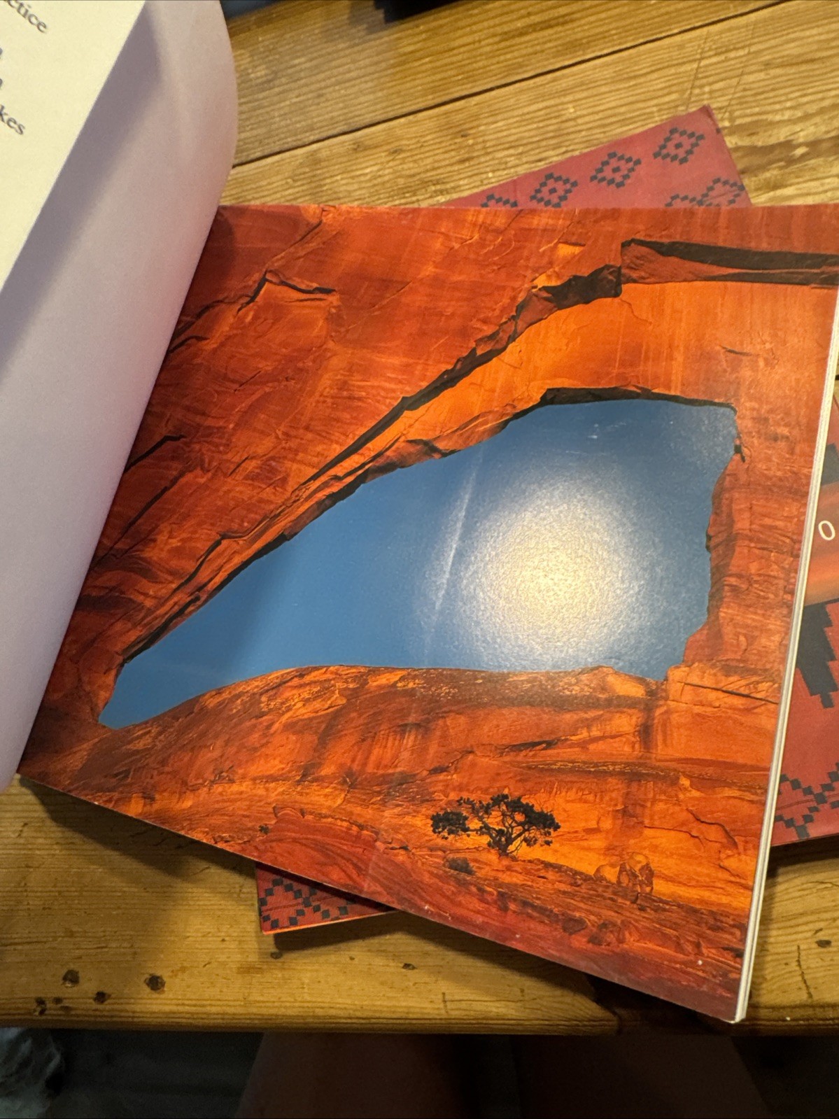 WEAVING A WORLD TEXTILES THE NAVAJO WAY OF SEEING + Woven Spirit Southwest Books