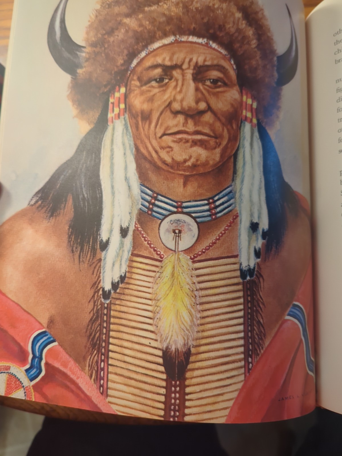 Moyer, FAMOUS INDIAN CHIEFS, 1972, HB, Color Illustrations, 92 Pages, 12x10in