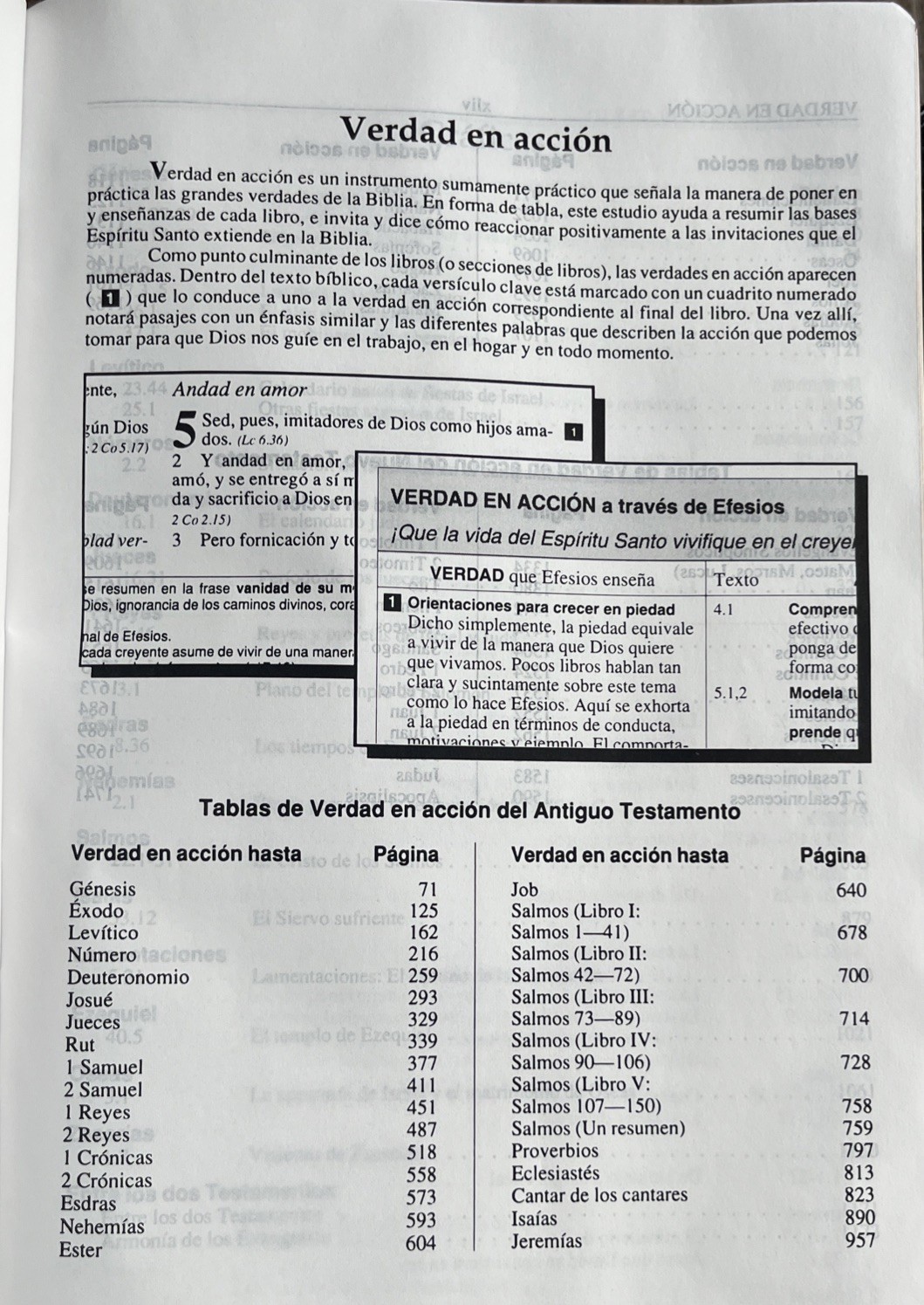 Biblia Pastoral de Estudio Plenitud RV1960 piel elaborada negro