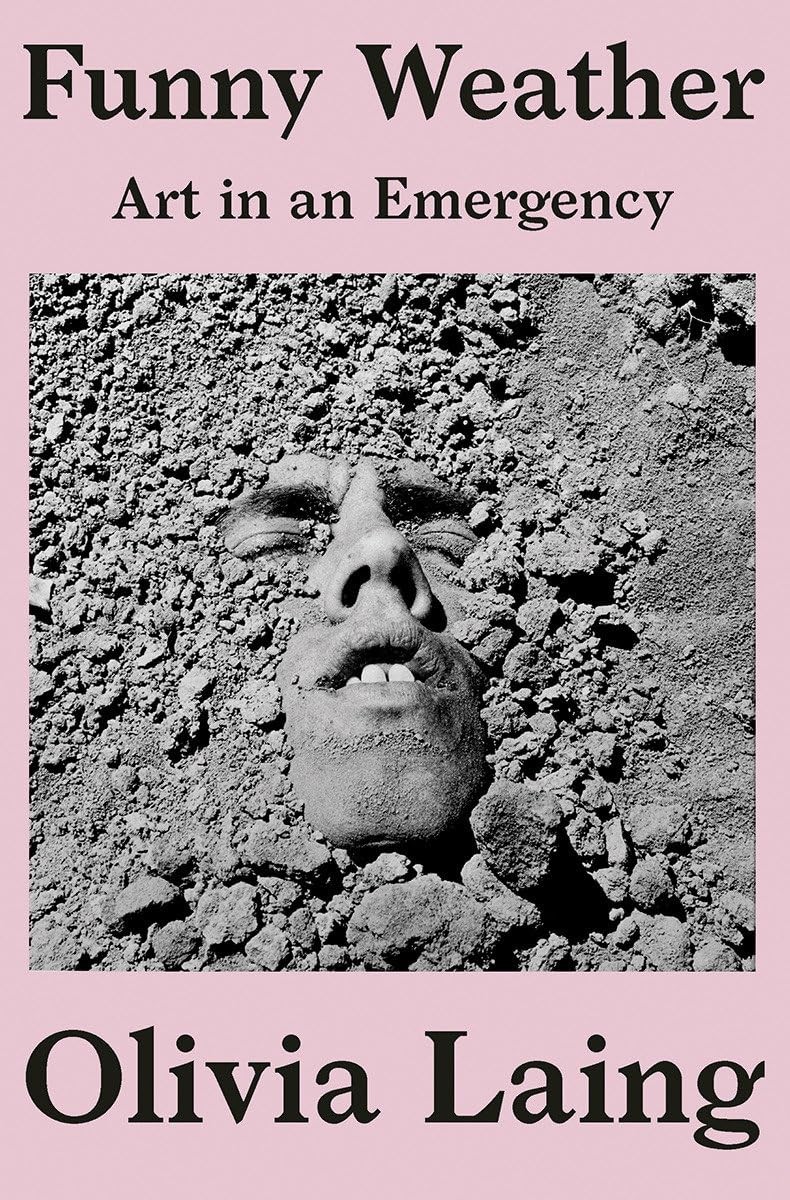 Funny Weather: Art in an Emergency – Laing, Olivia – Good – See condition no…
