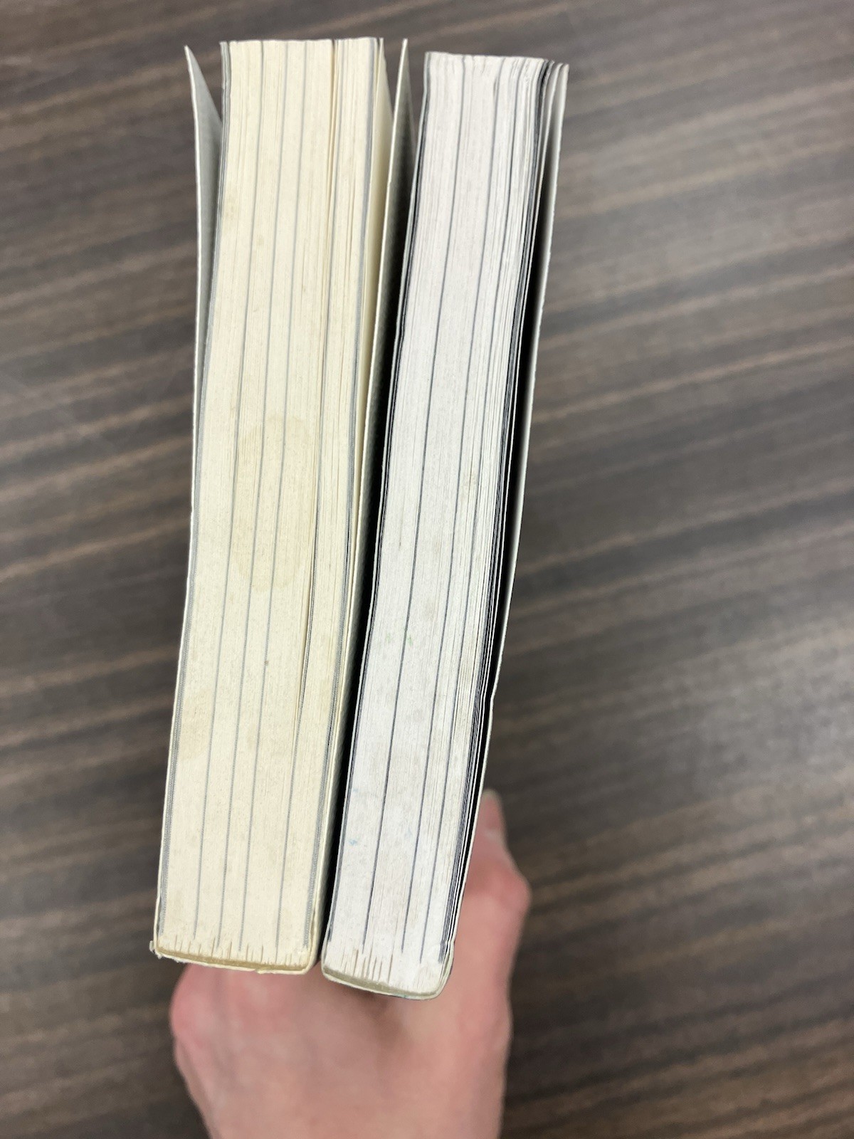 Rupi Kaur Collection 2 Book Set Lot Milk & Honey, The Sun and Her Flowers