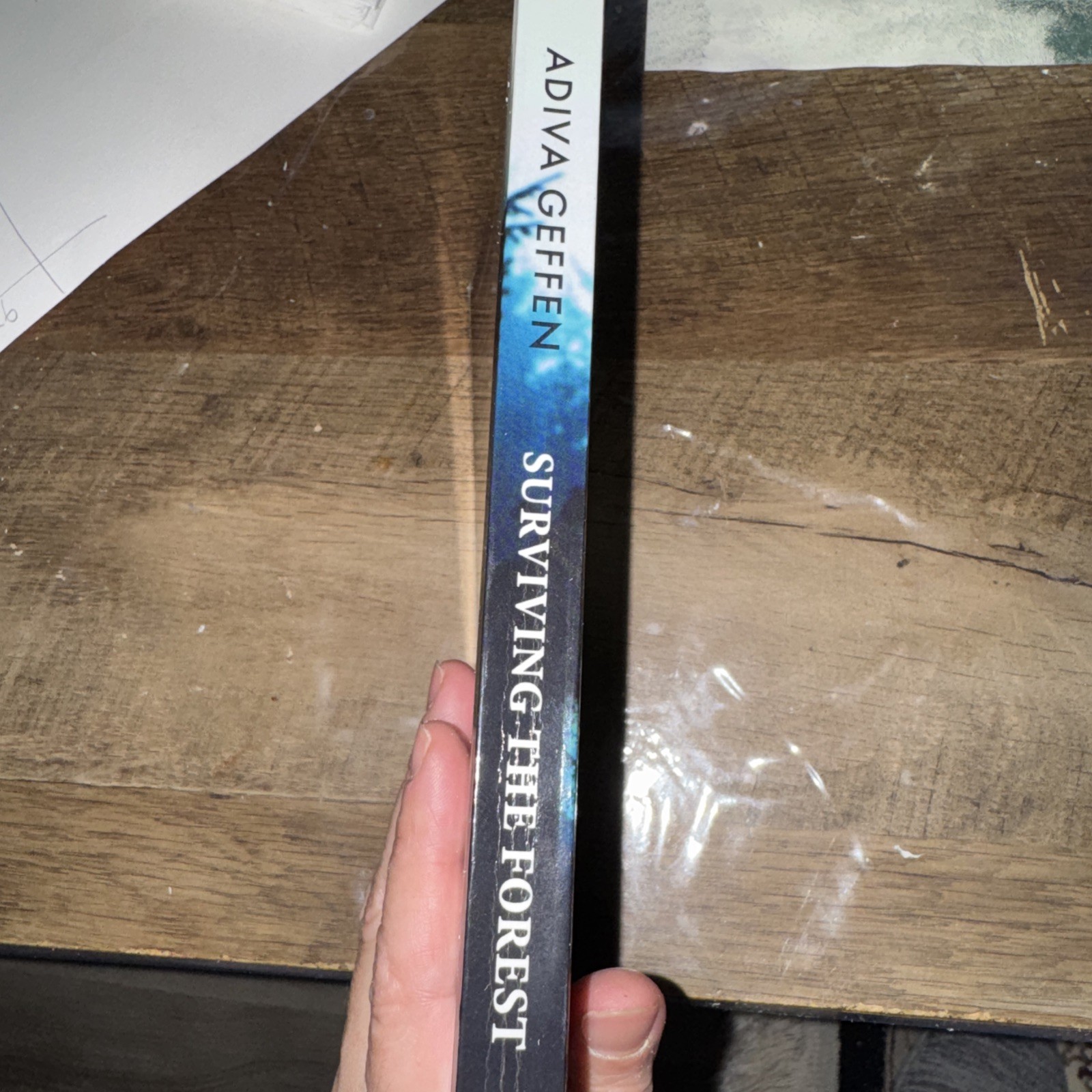 Surviving the Forest by ReadMore ReadMore Press and Adiva Geffen (2019,