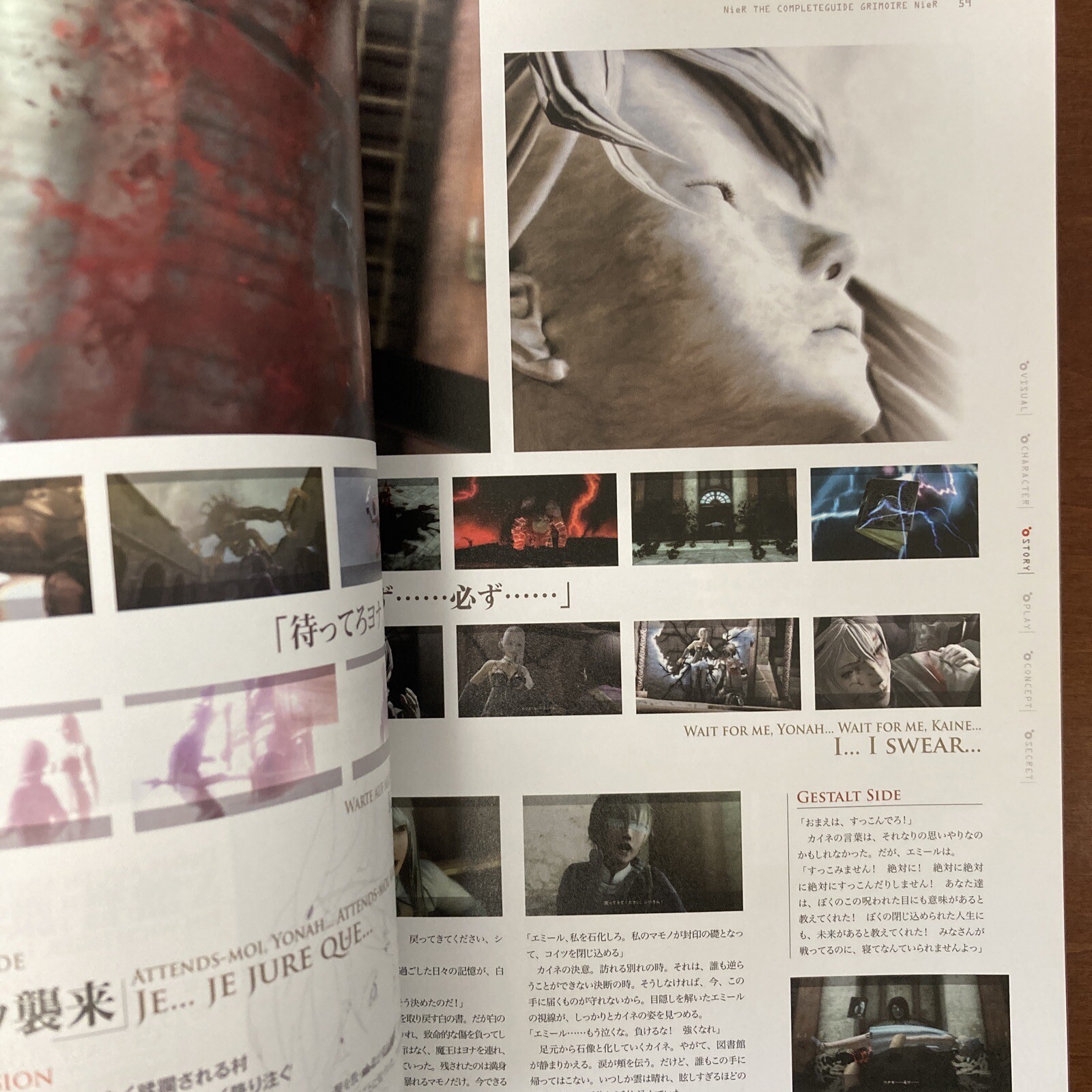 Grimoire NieR Guide Book Art Book Illustration