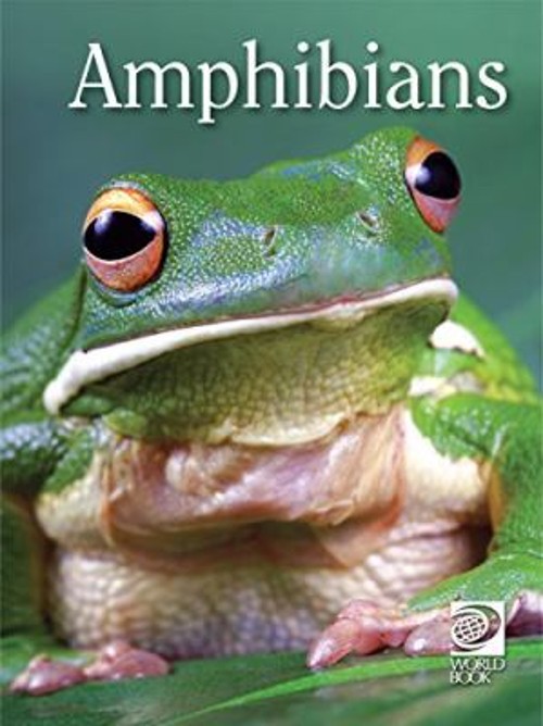 Amphibians Hardcover