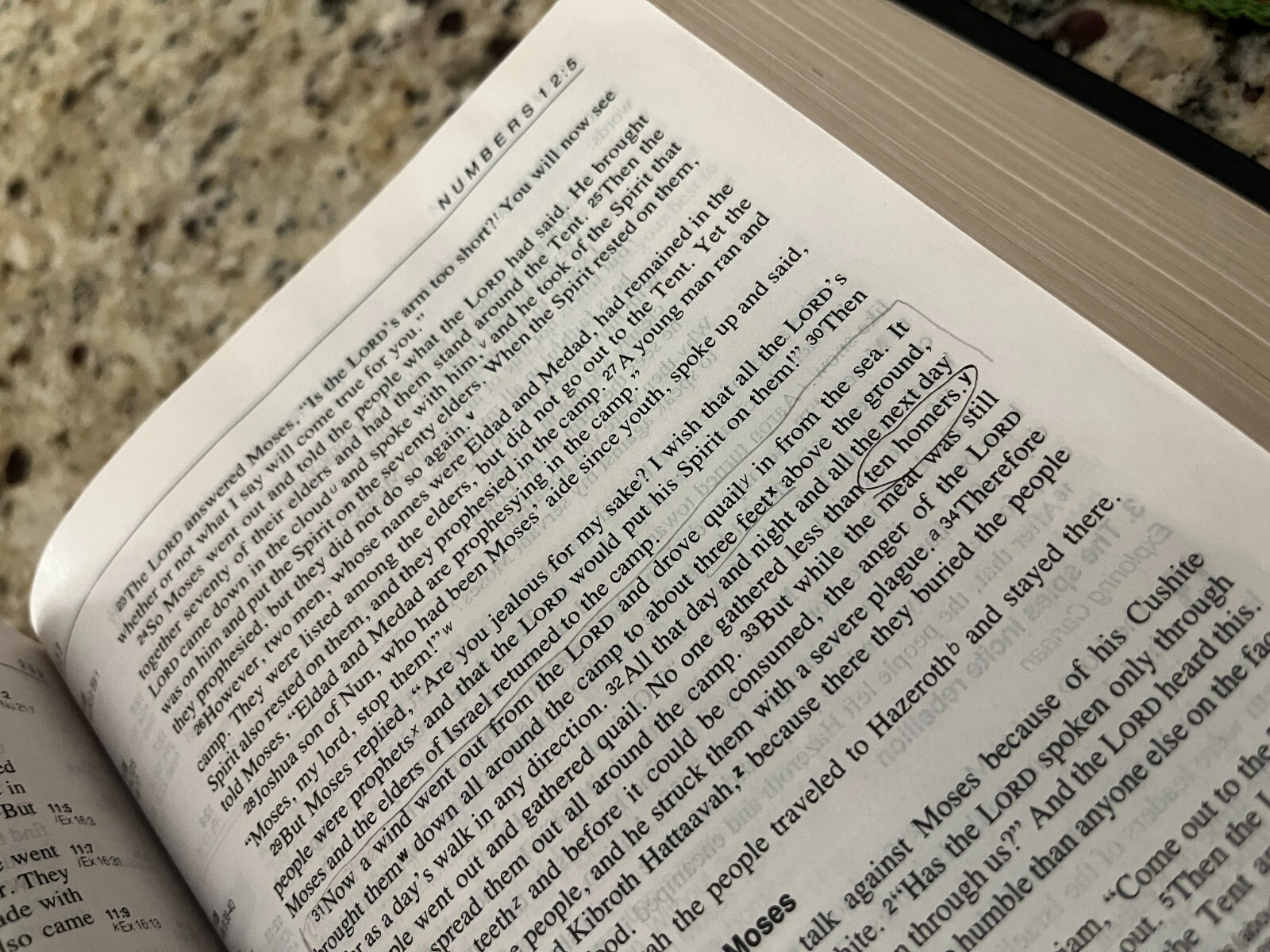 ZONDERVAN NIV HOLY BIBLE Brown Tan Leather Near Mint 2017