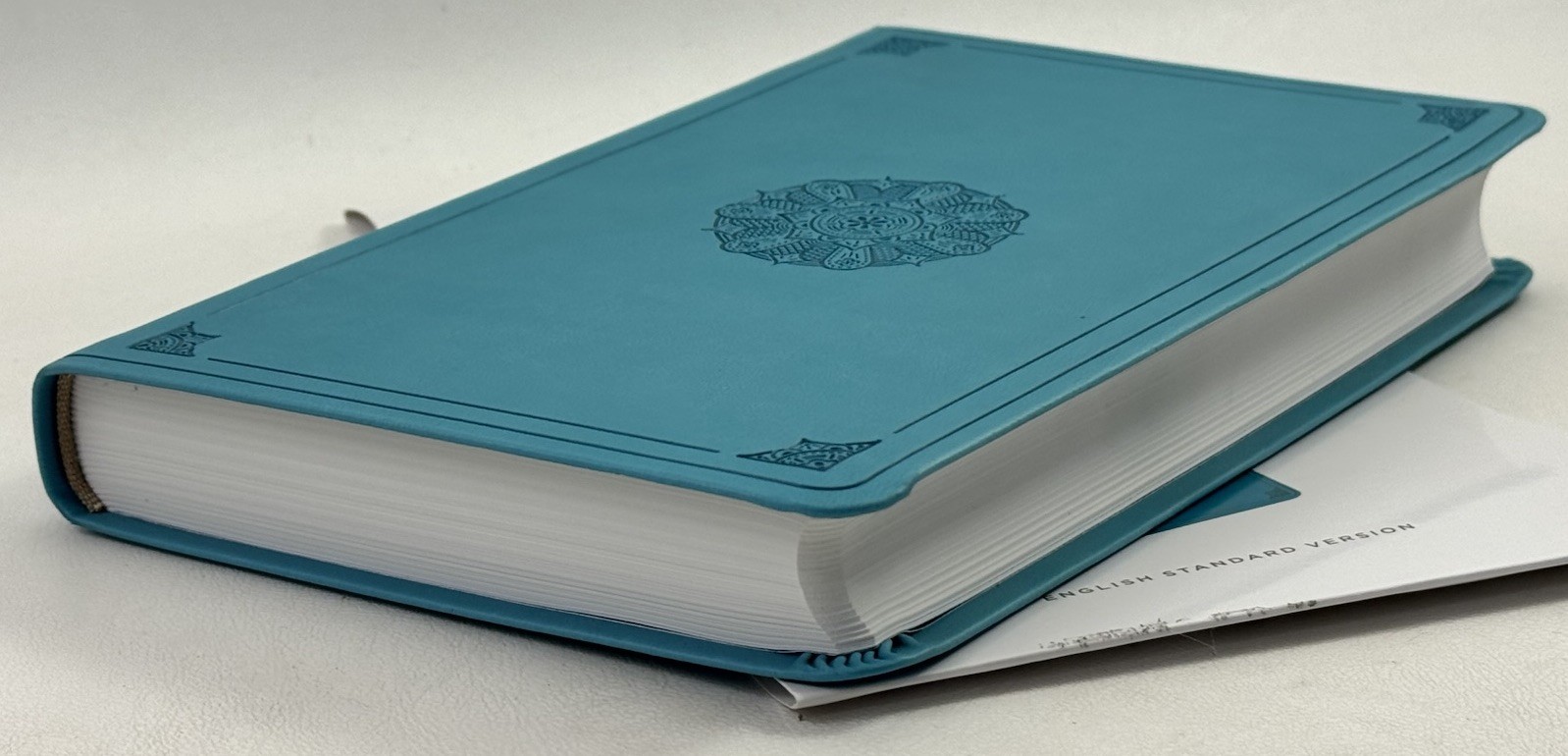 New ESV Large Print Value Thinline Bible (Trutone, Turquoise, Emblem Design)