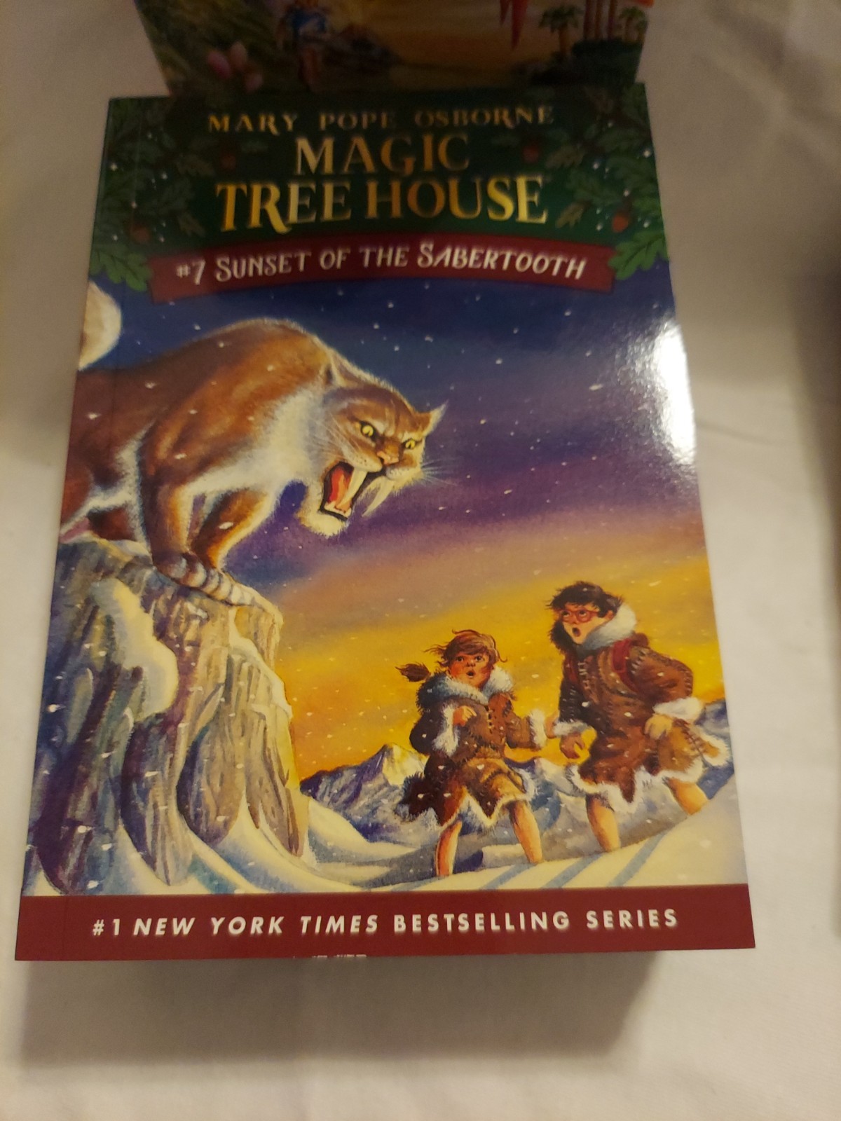 Magic Tree House Boxed Set – See Photographs For Titles !!!
