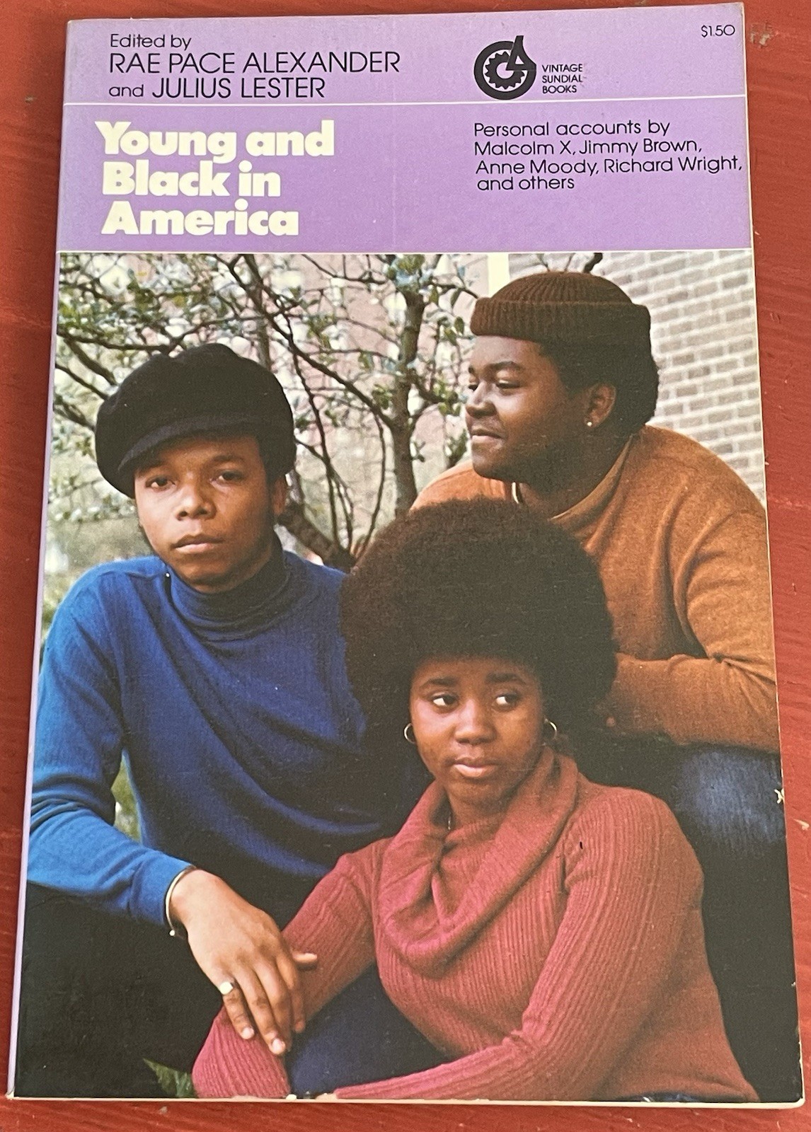 Young and Black in America by Rae Pace Alexander 1973 Malcolm X, Richard Wright