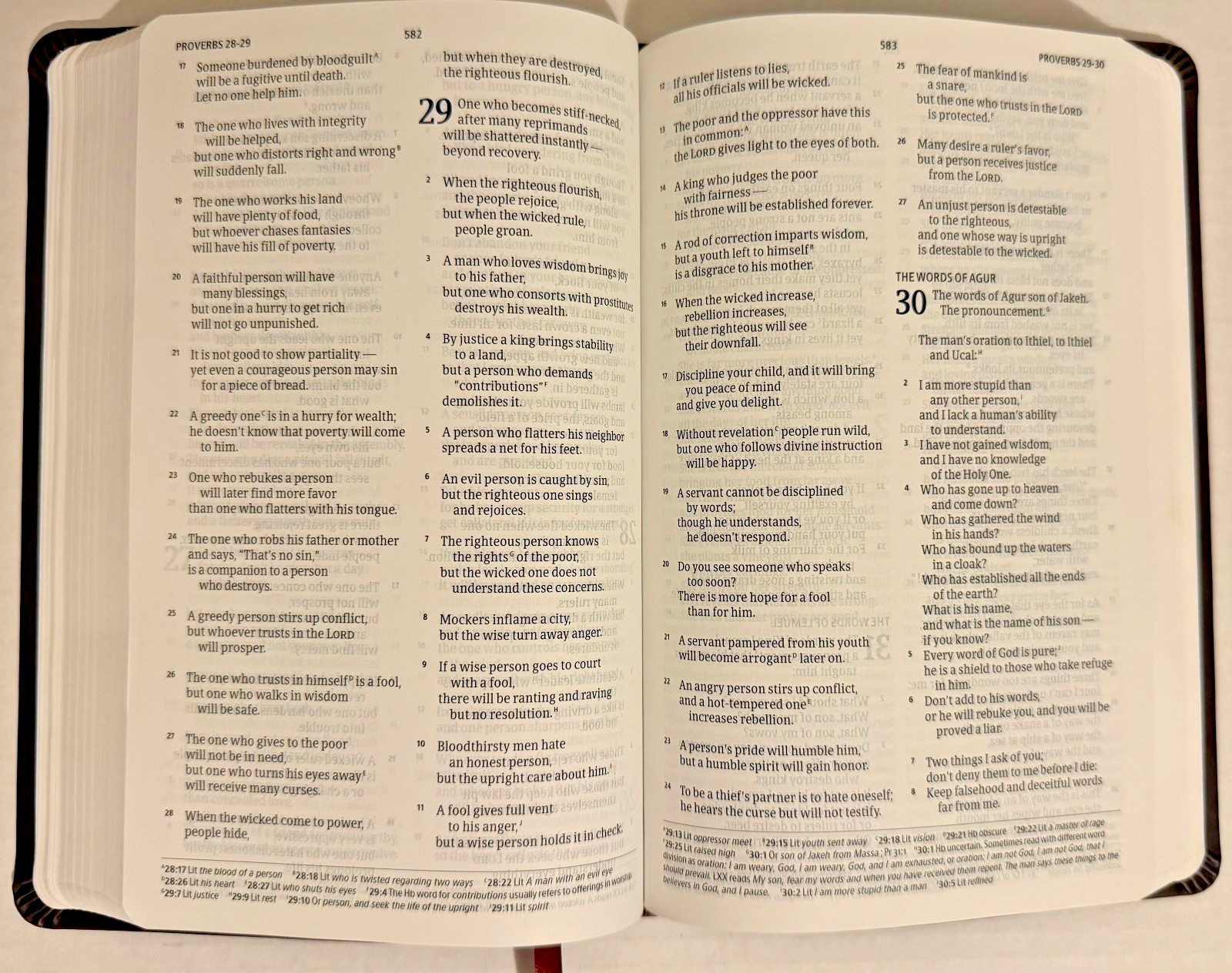 Christian Standard Bible Thinline Value Edition Brown LeatherTouch Holman NEW